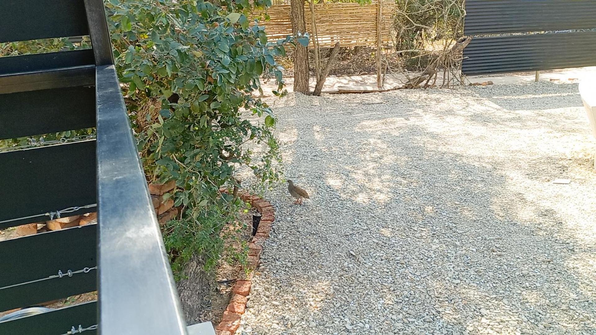 Photo 32