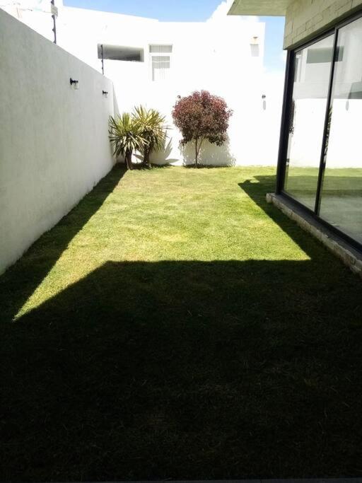 Casa Panal