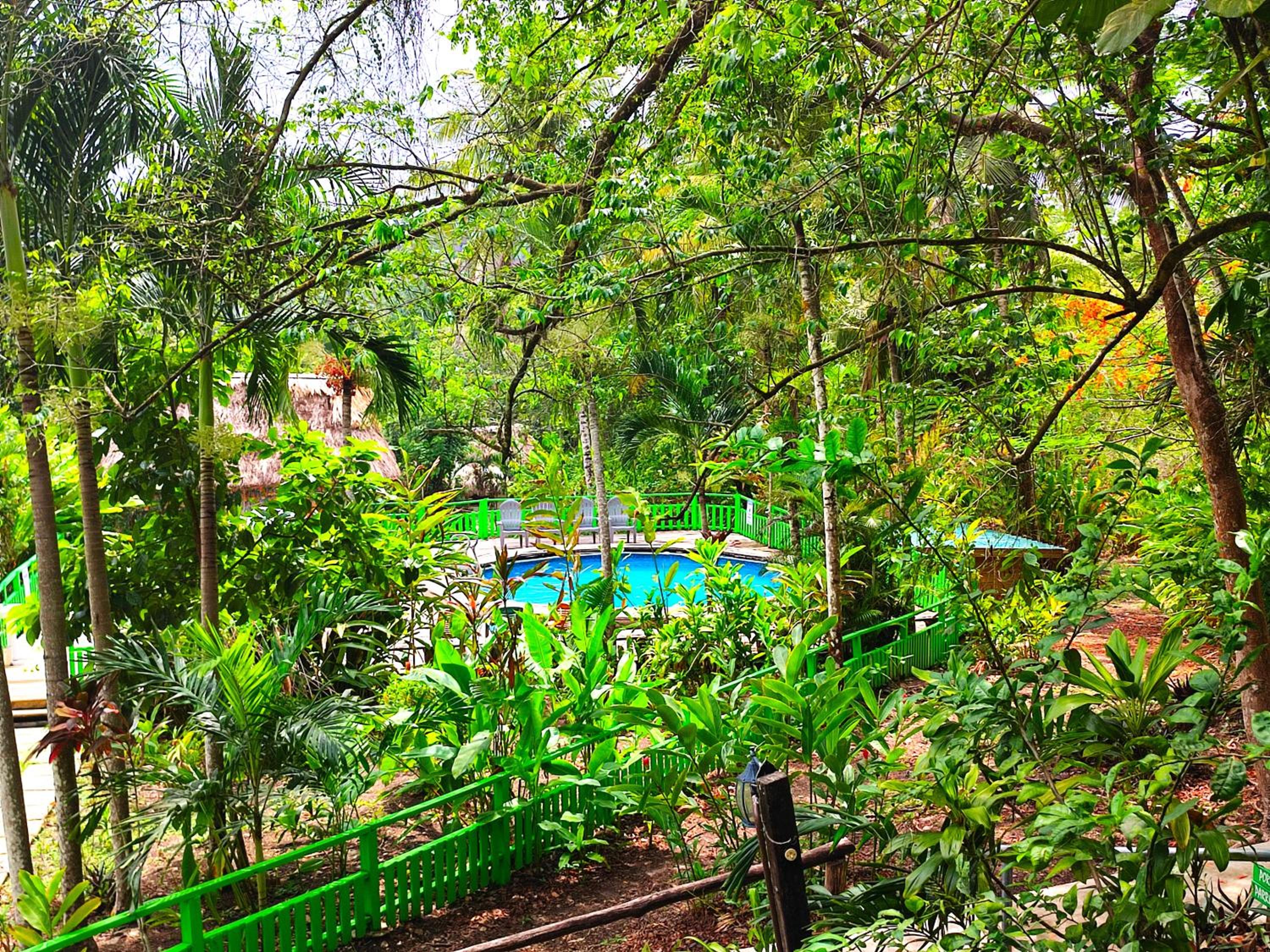 Belize Vacations - Maya Mountain Lodge - Property Image 1