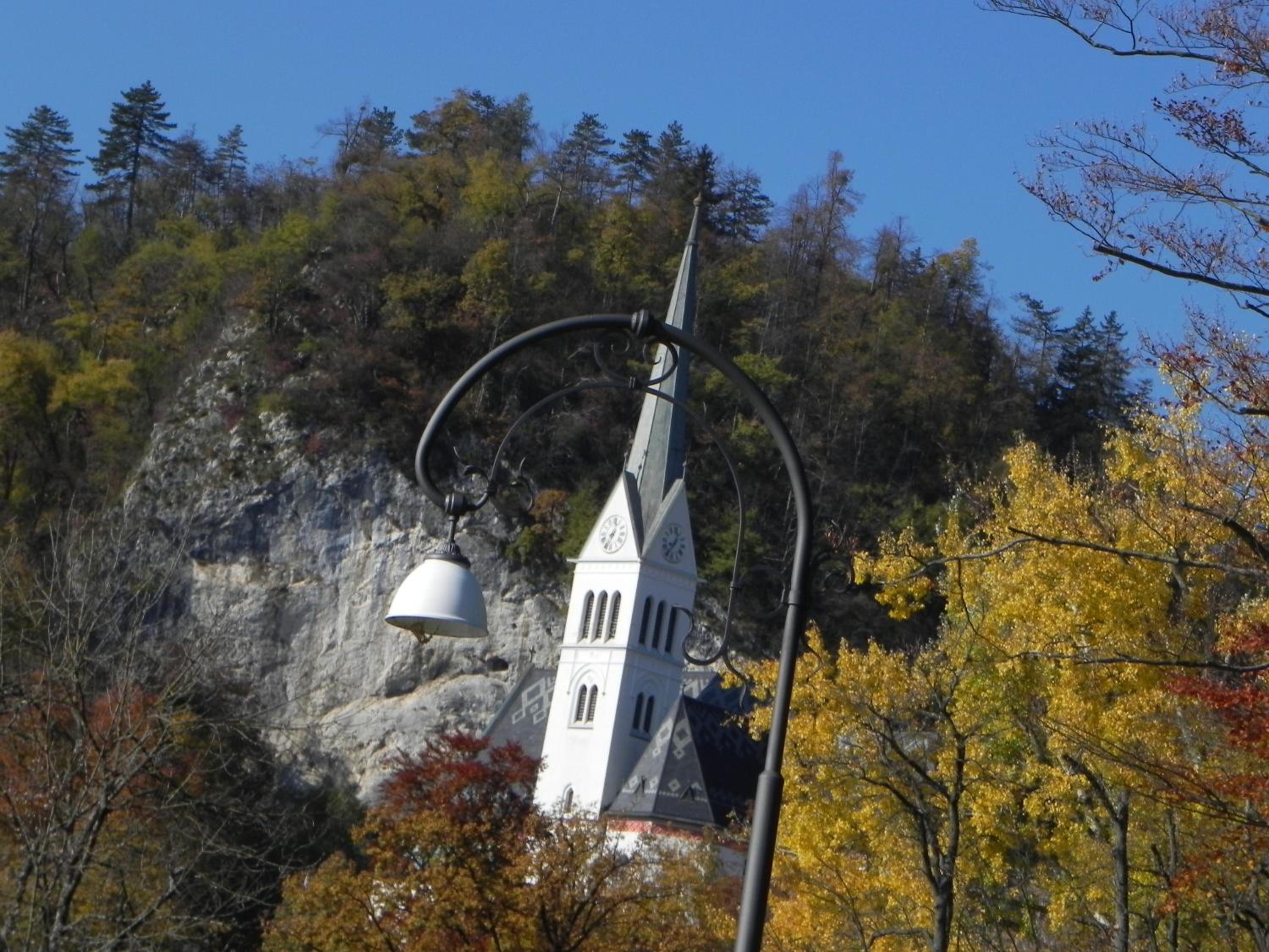 Photo 46