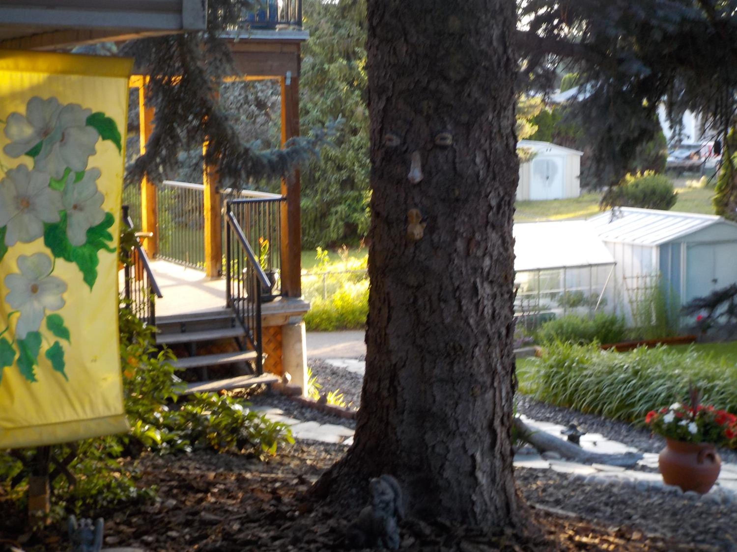 Dogwood Bed & Breakfast