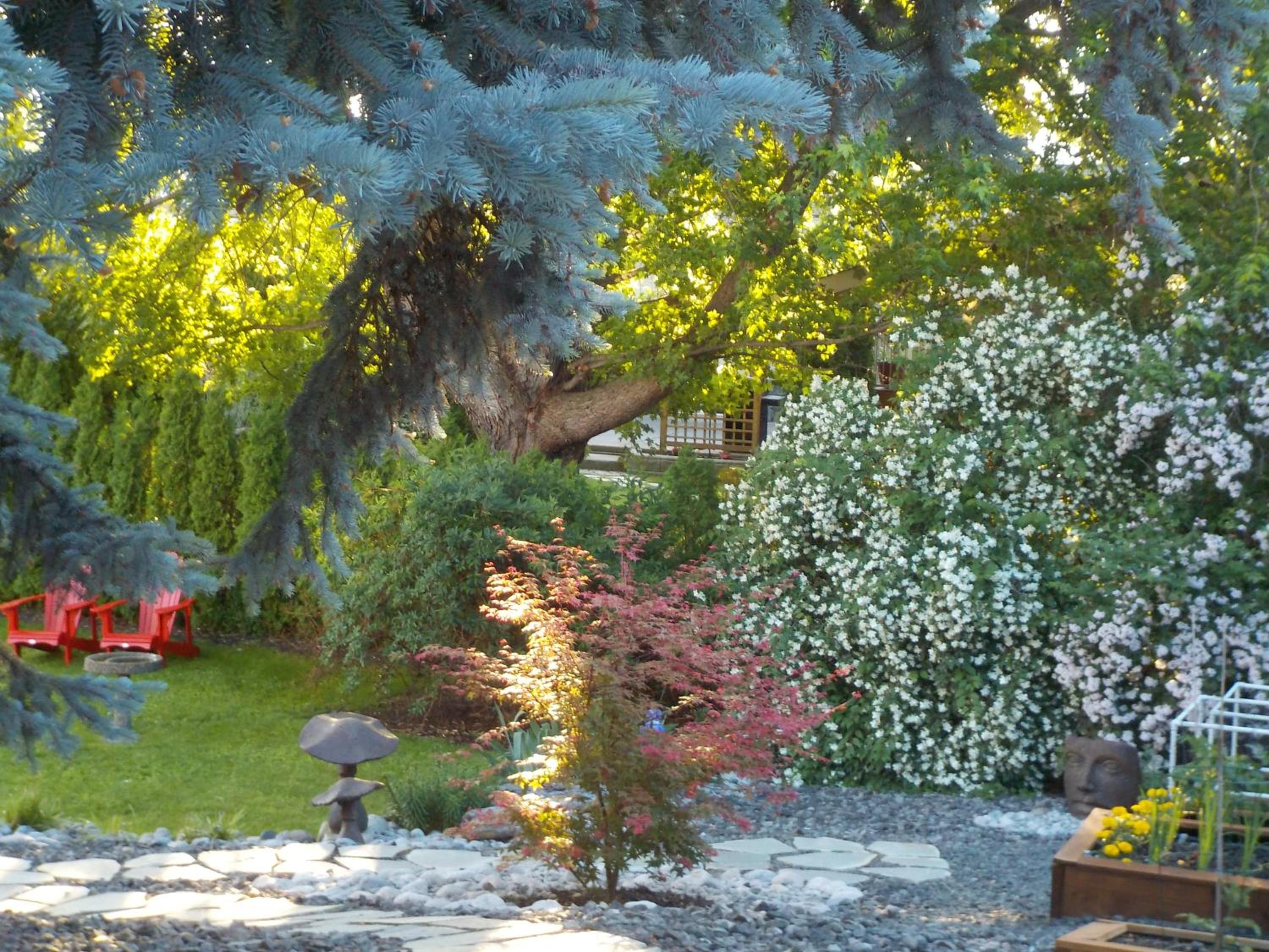 Dogwood Bed & Breakfast