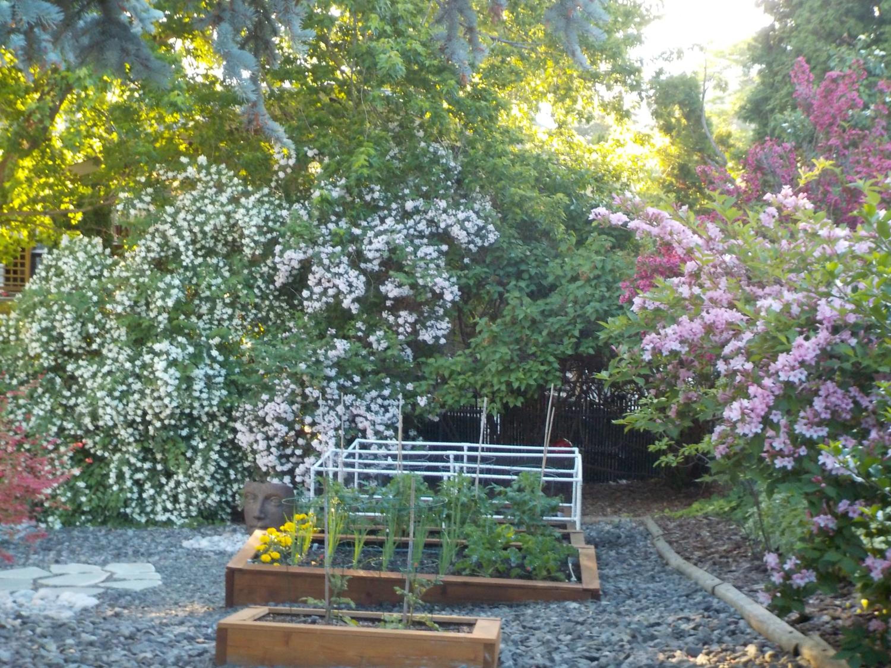 Dogwood Bed & Breakfast