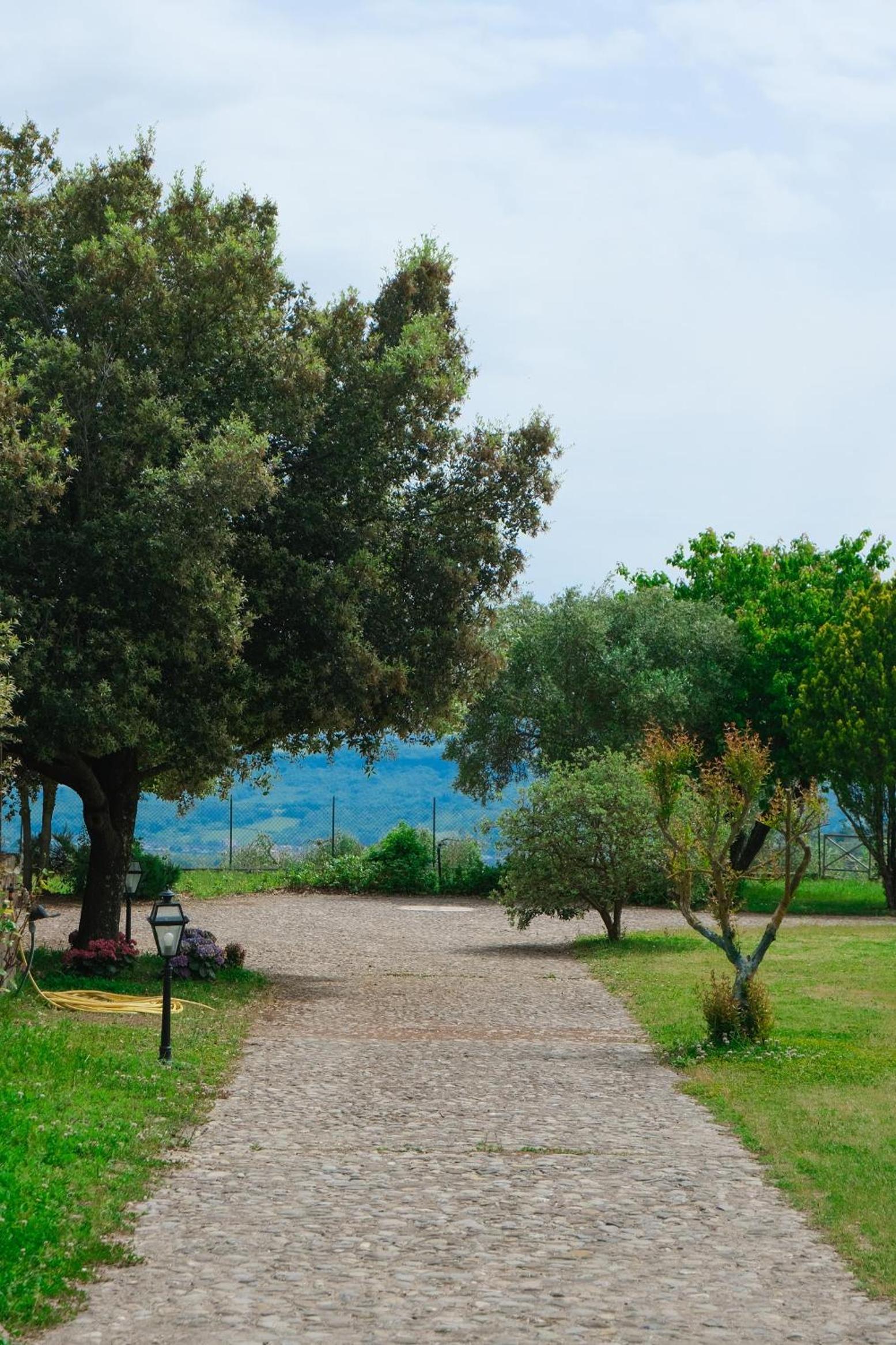 Casale Beatrice degli Ulivi view 3