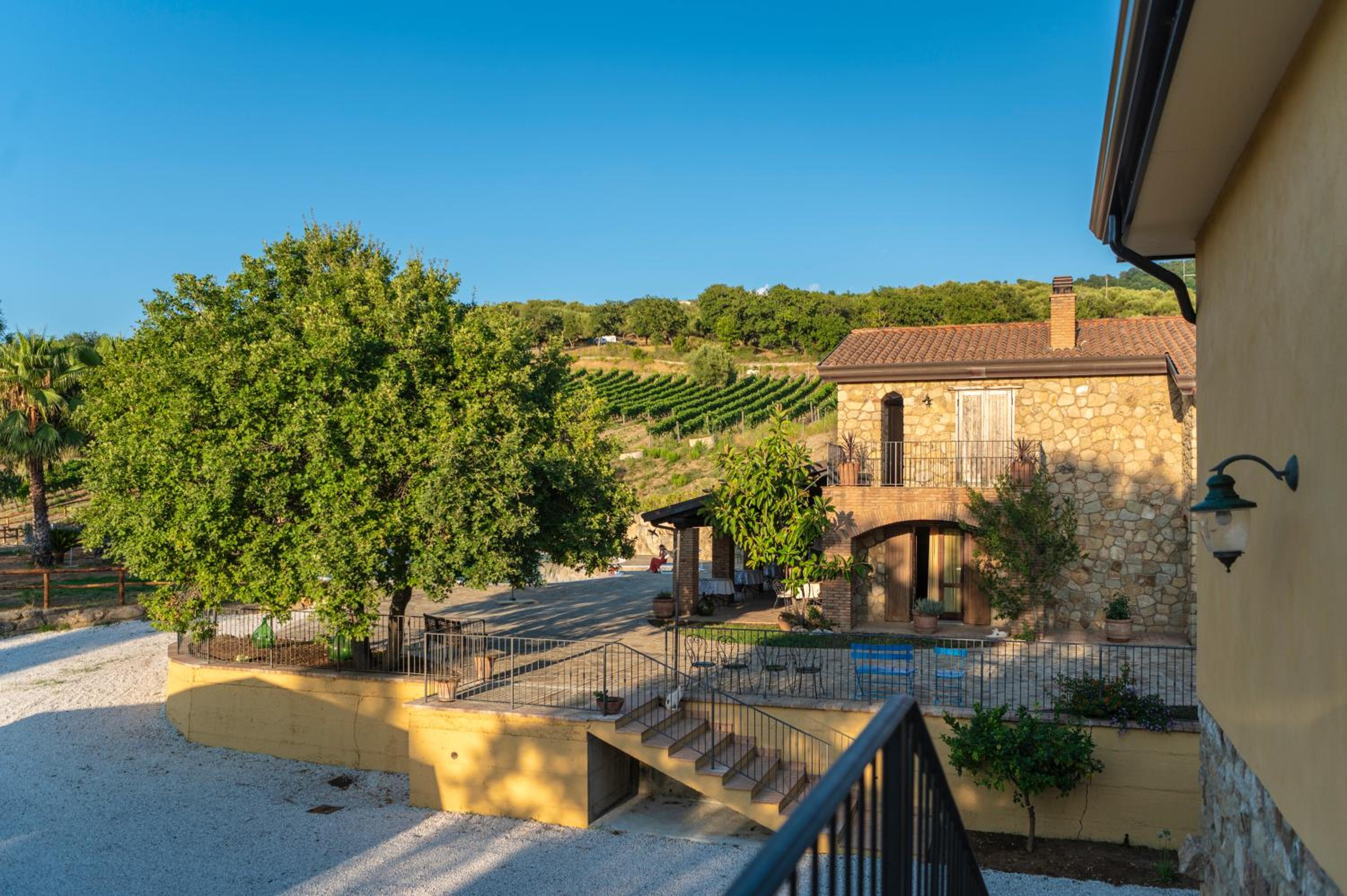 B&B Papanonno - Relax vicino Palinuro