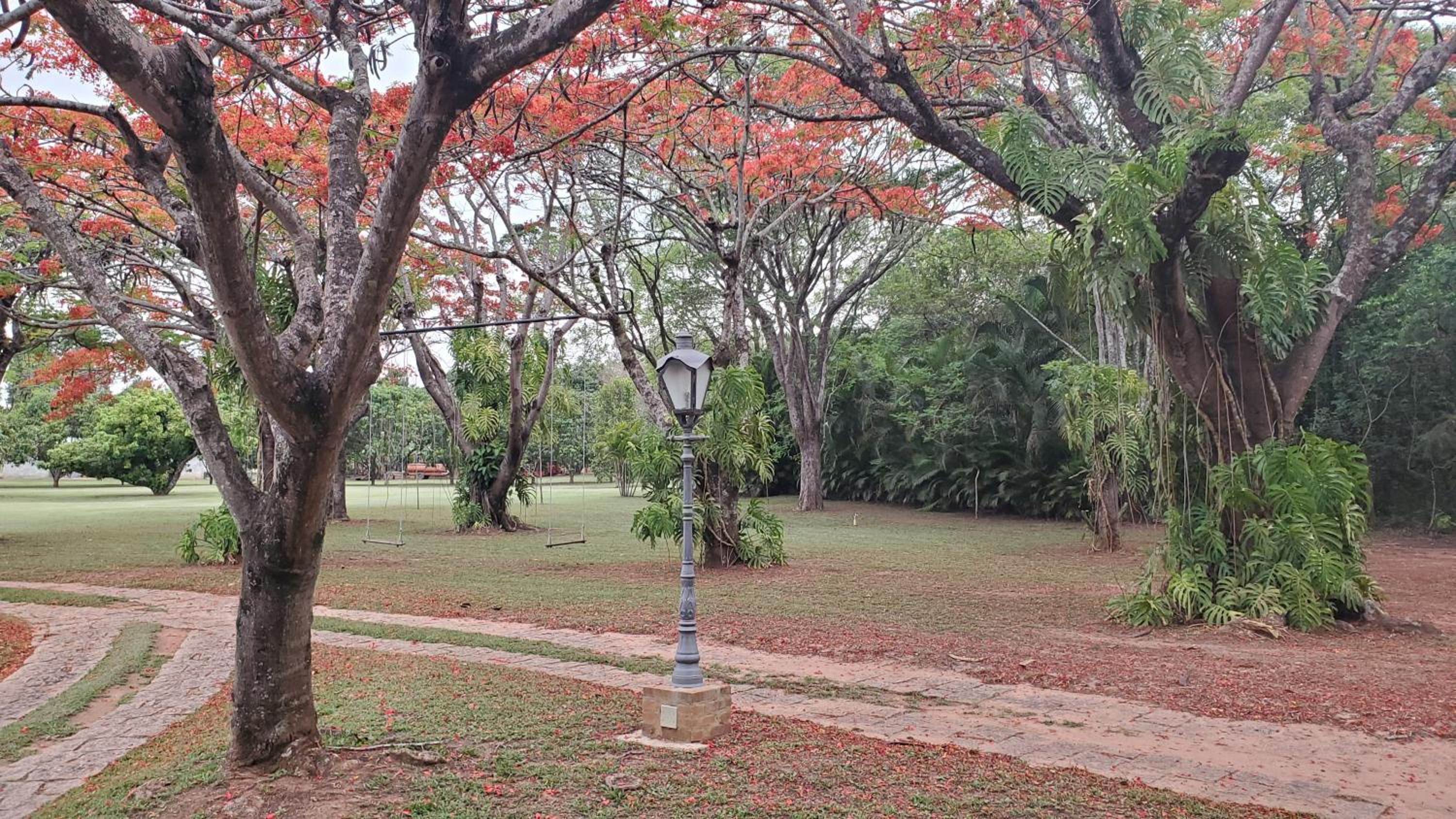 Grande Casa com Lazer, Jardim e dentro de um Haras