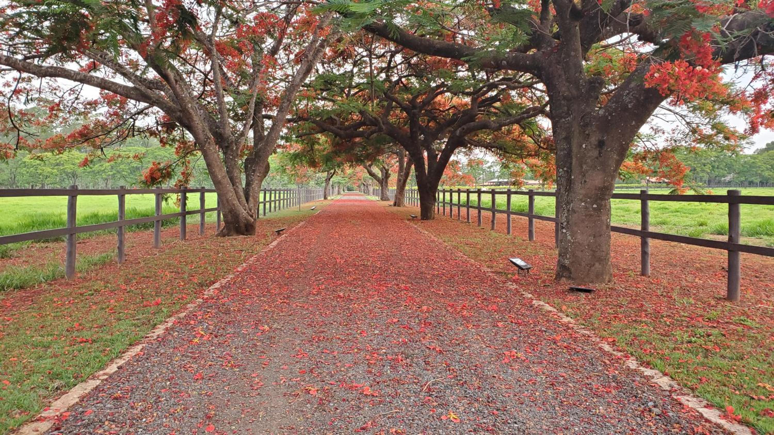 Grande Casa com Lazer, Jardim e dentro de um Haras