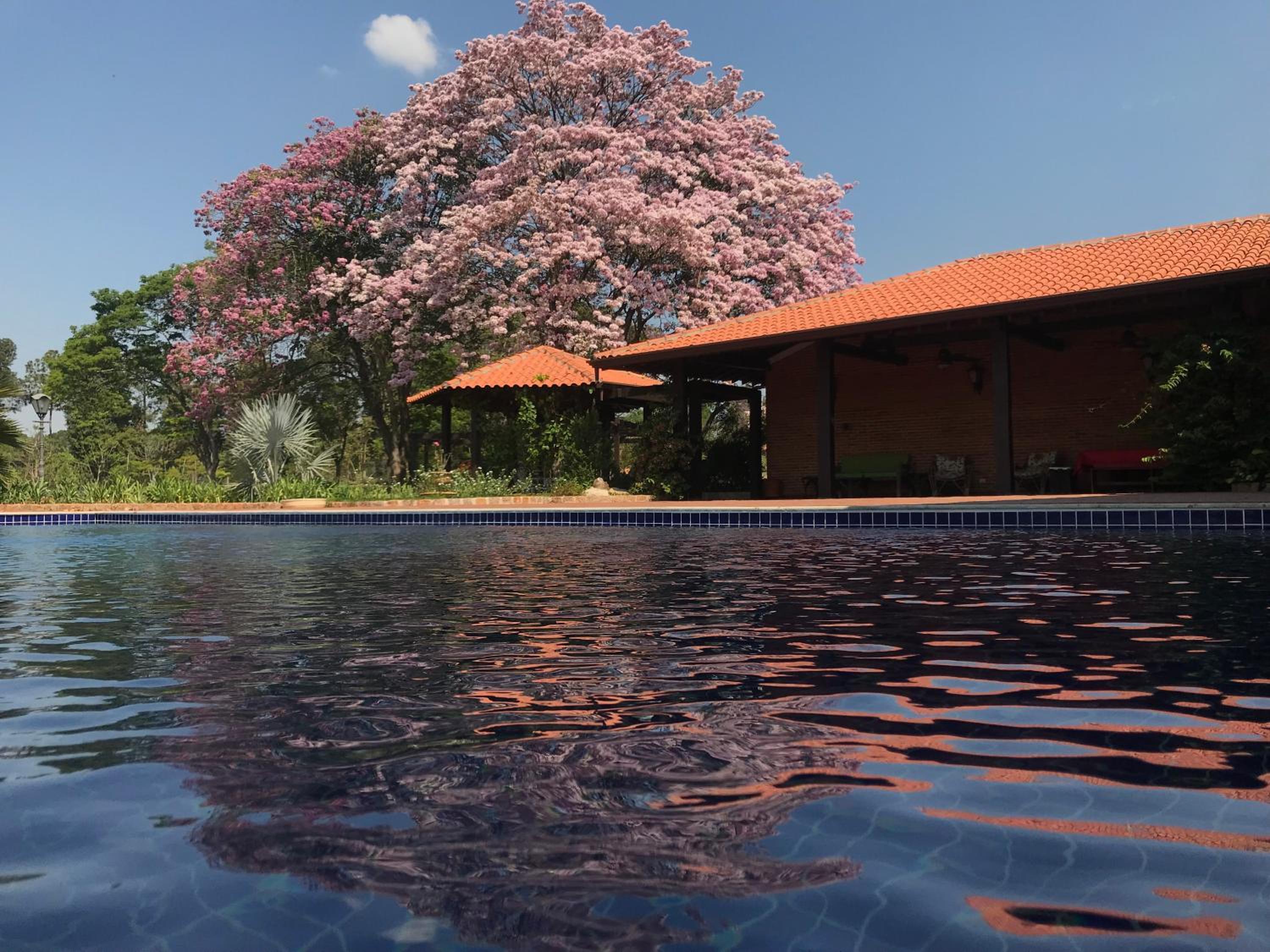 Grande Casa com Lazer, Jardim e dentro de um Haras