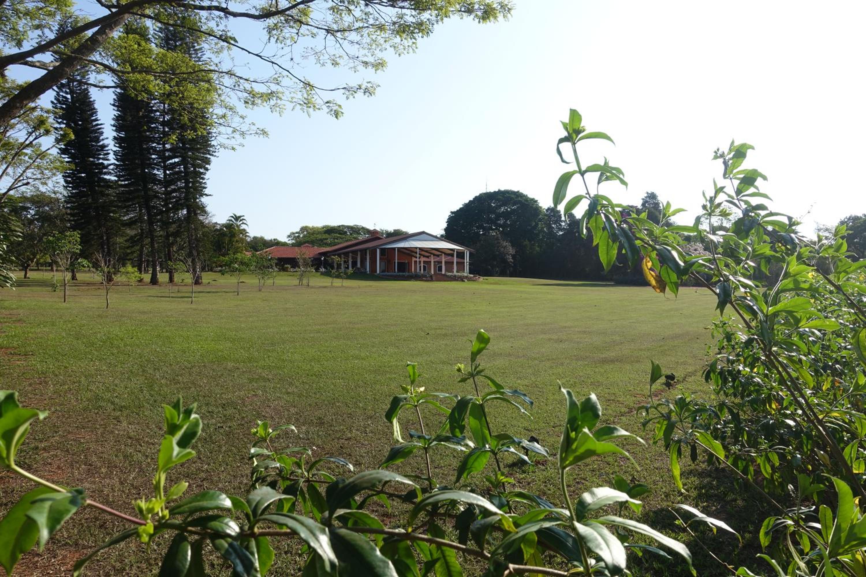 Grande Casa com Lazer, Jardim e dentro de um Haras