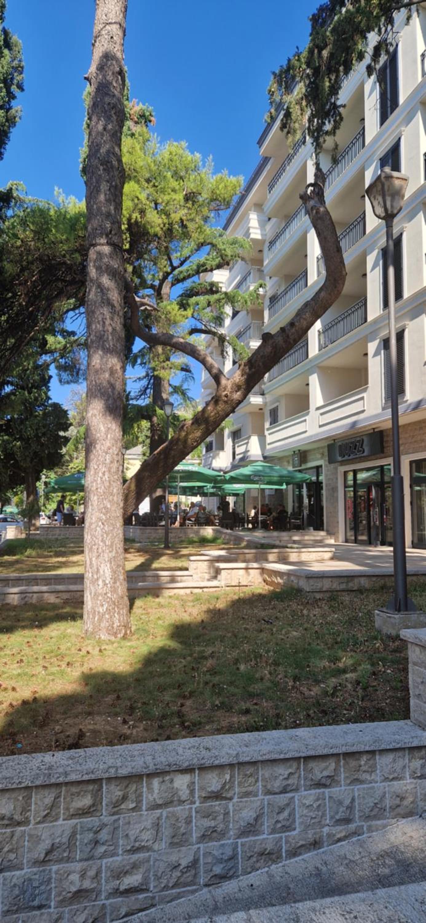 Plava orhideja apartman