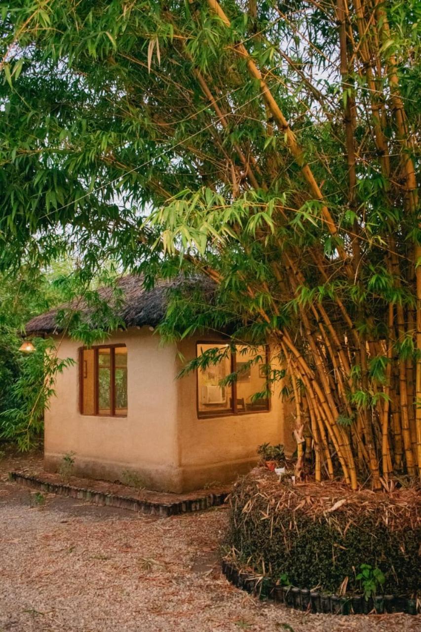 Earthome Pilibhit Tiger Reserve