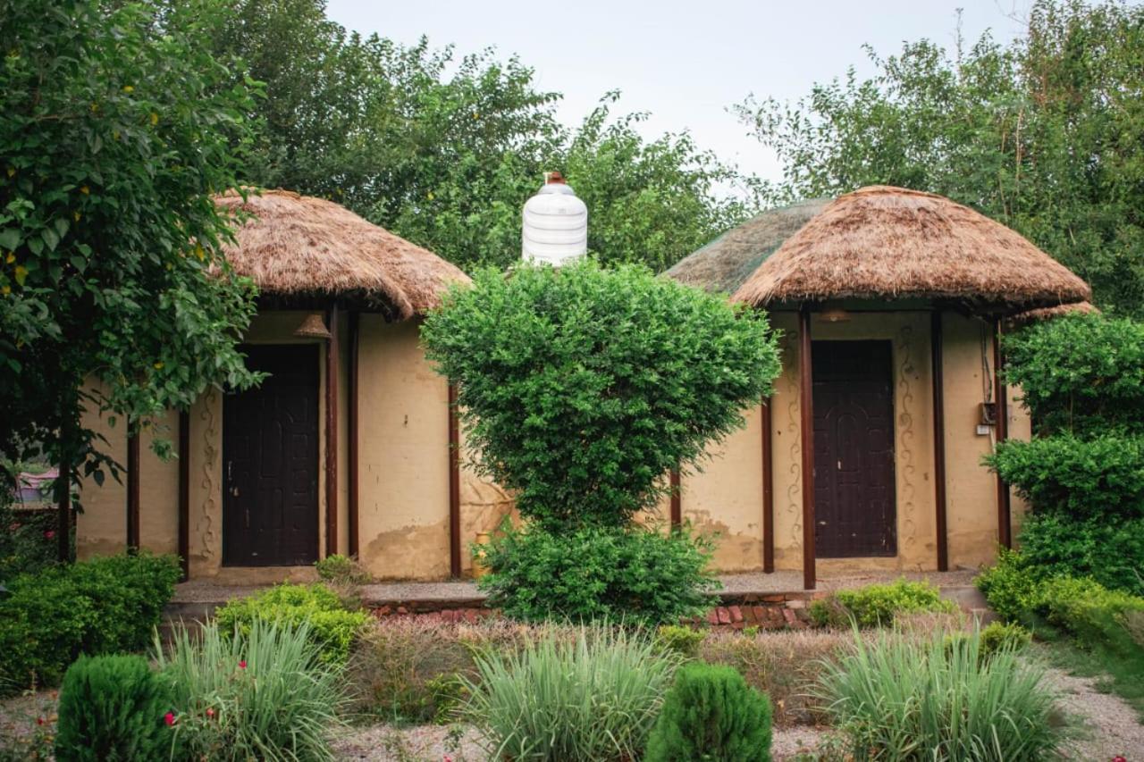 Earthome Pilibhit Tiger Reserve