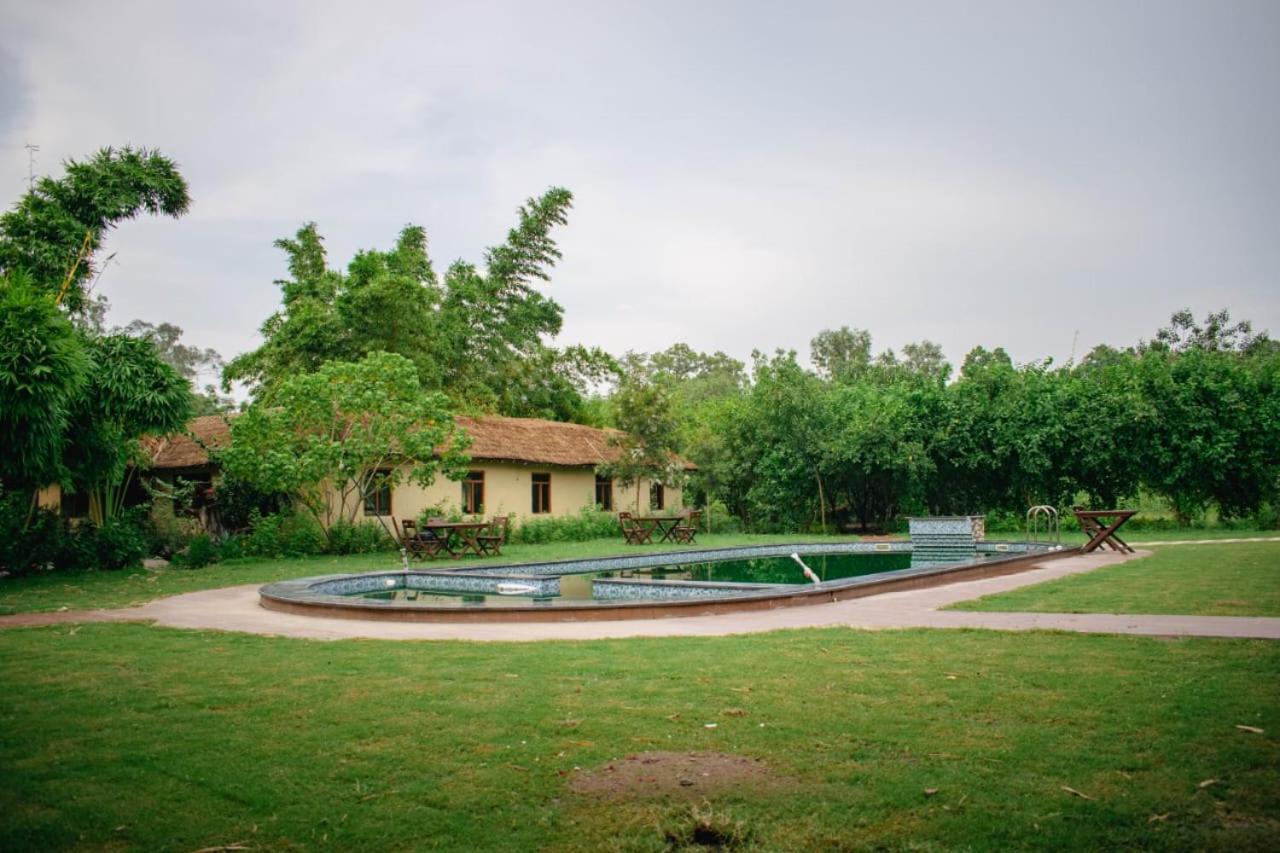 Earthome Pilibhit Tiger Reserve