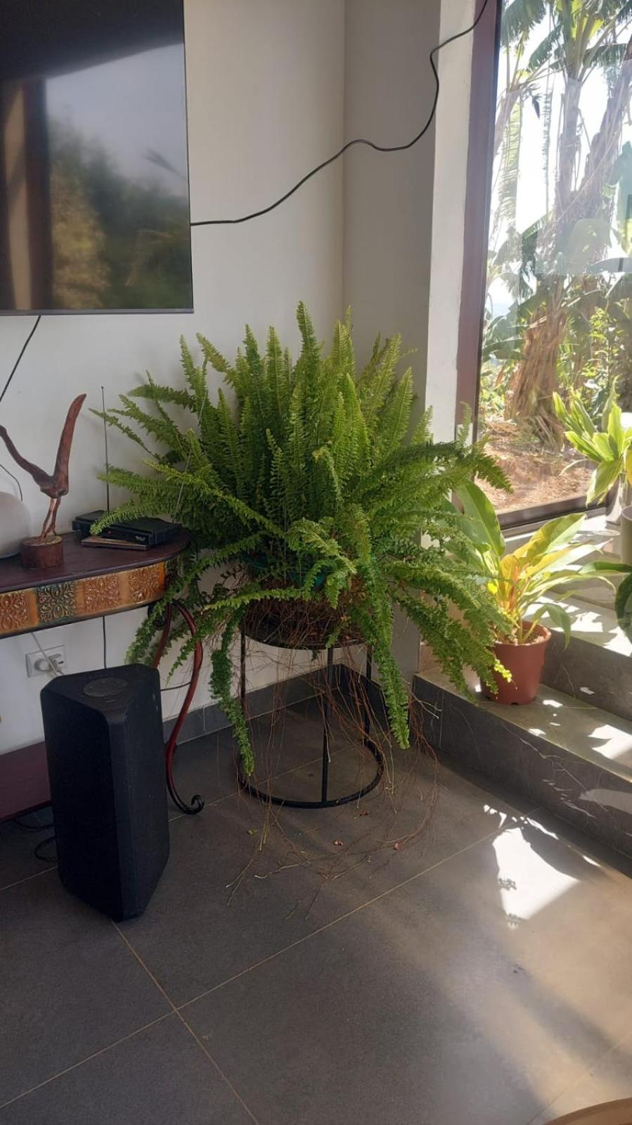 Casa Zamoray