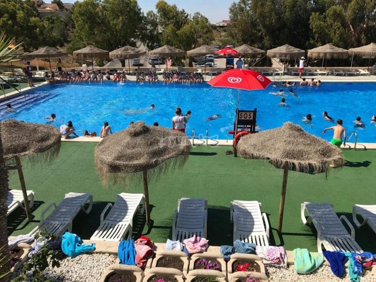 Ciudad Quesada apartamento independiente en finca con piscina compartida