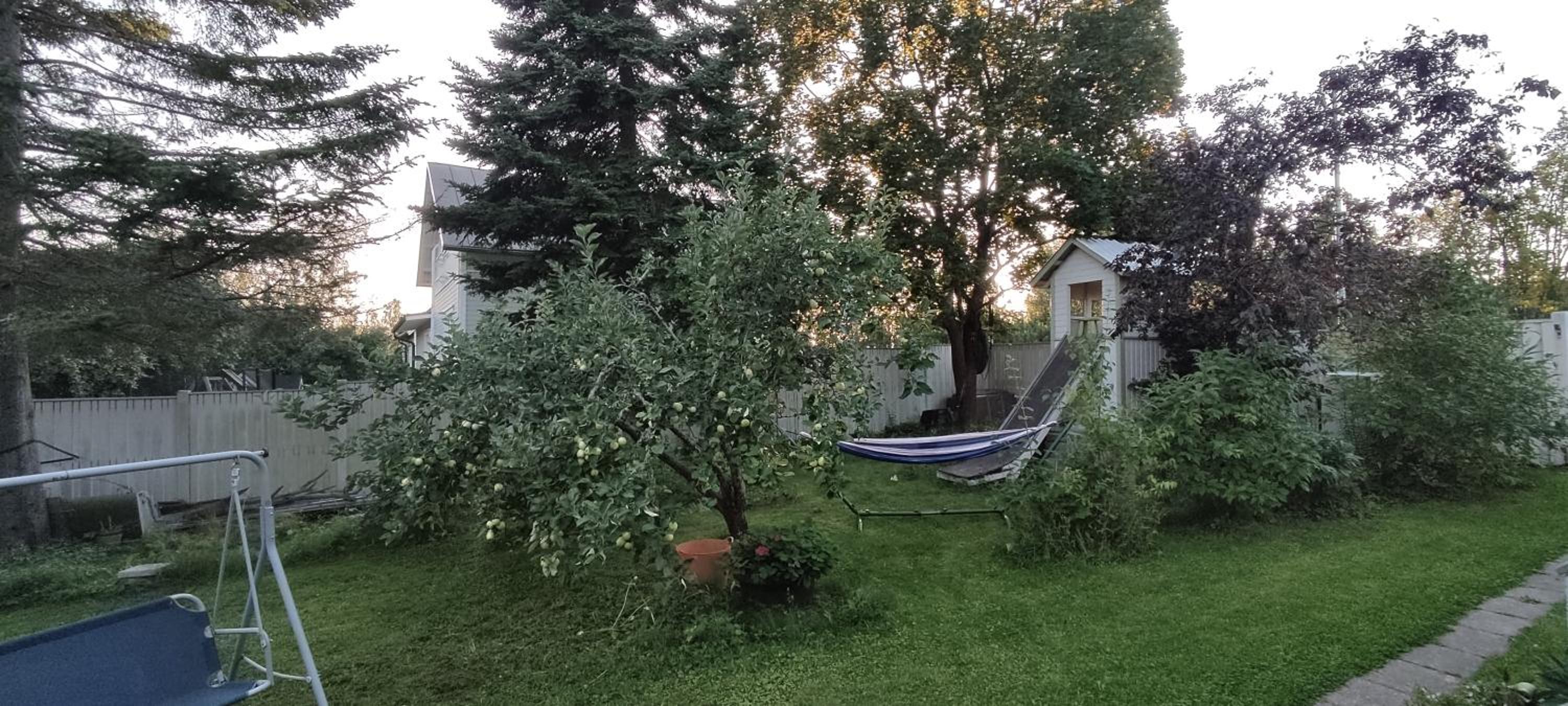 Nummen Goto, kivenheitto torilta