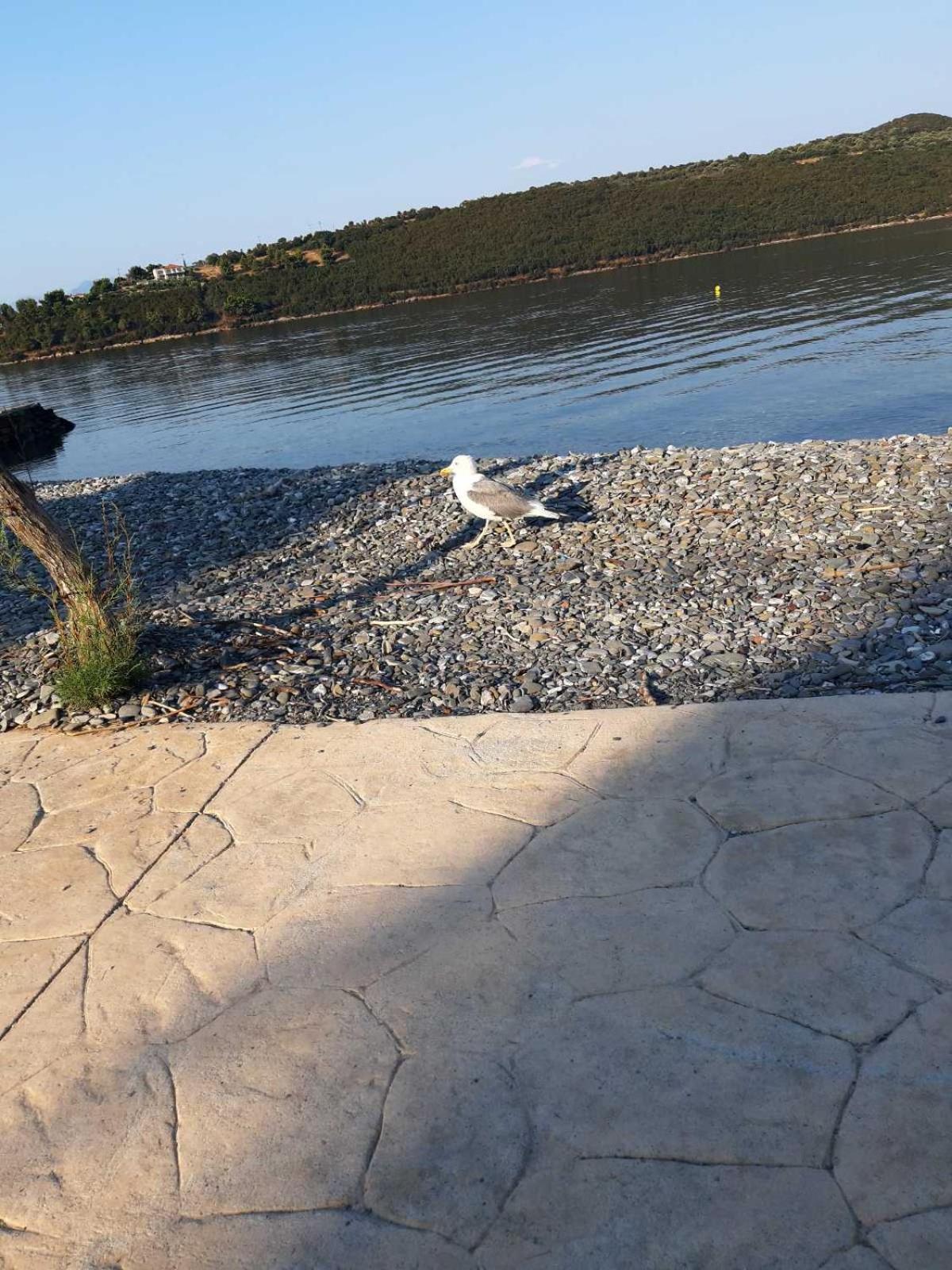 Photo 47