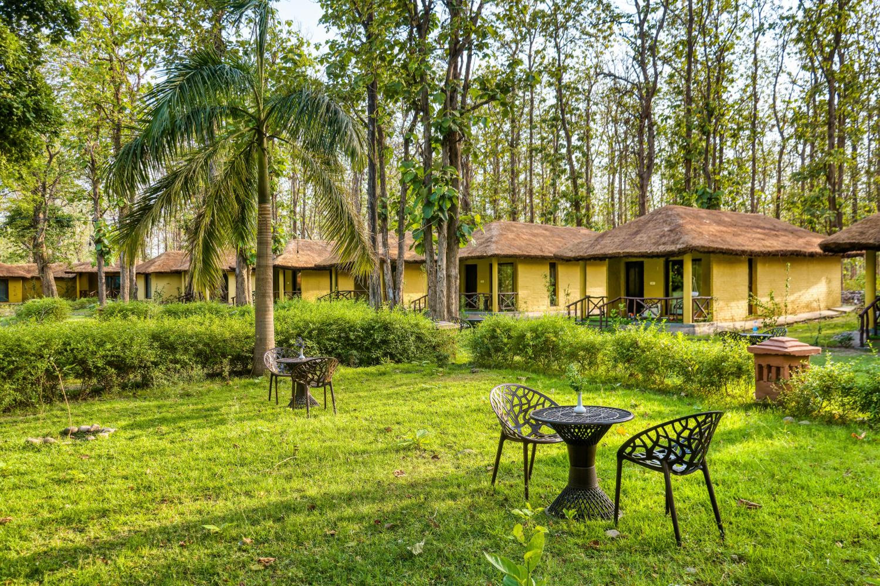 Bijrani Jungle Camp by Fairlink view 4