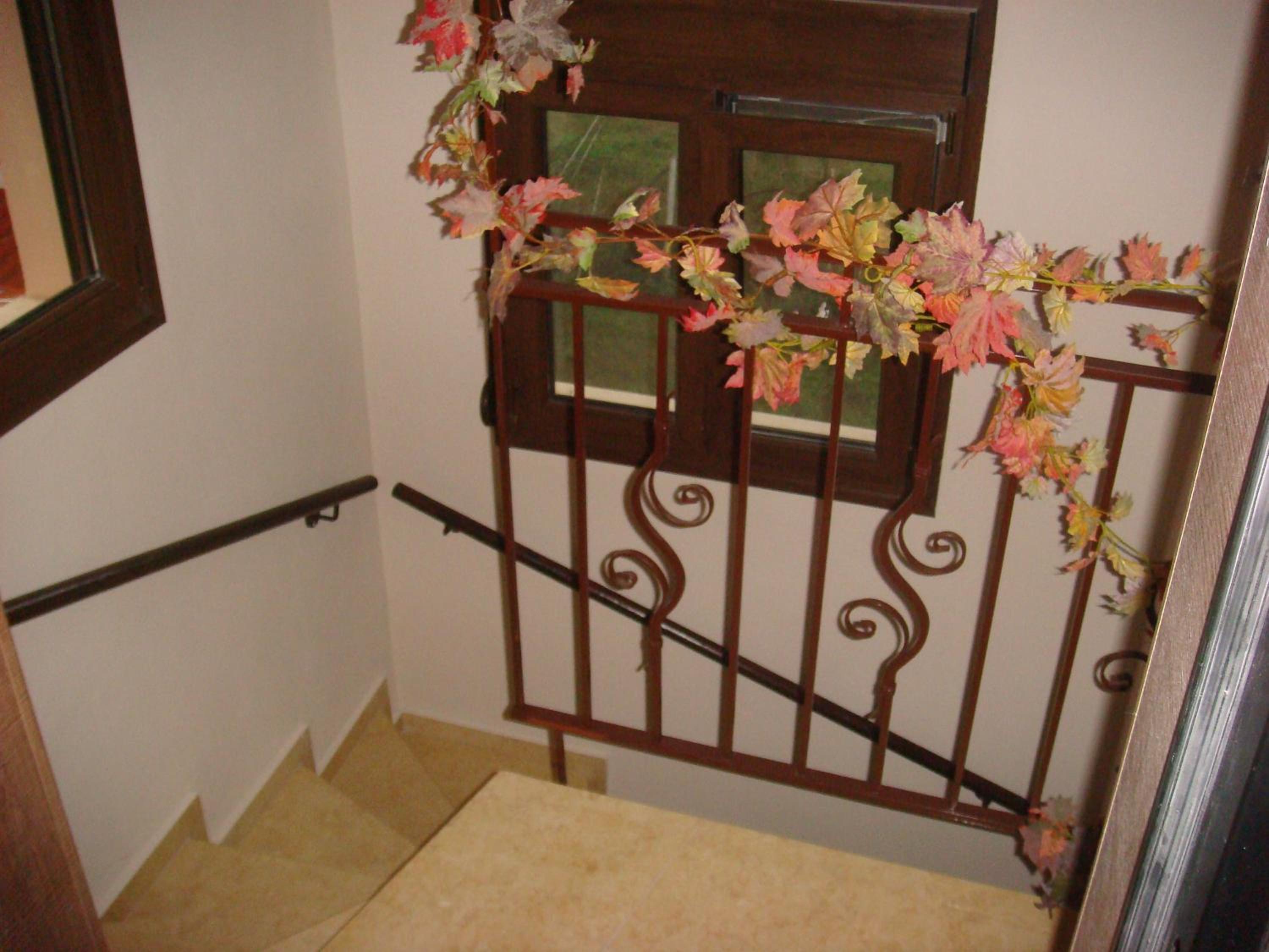 Photo 56