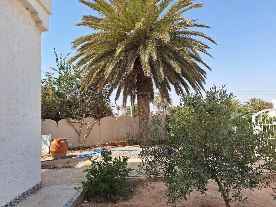 Midoun Vacations - Villa a proximite de la plage Djerba - Property Image 5