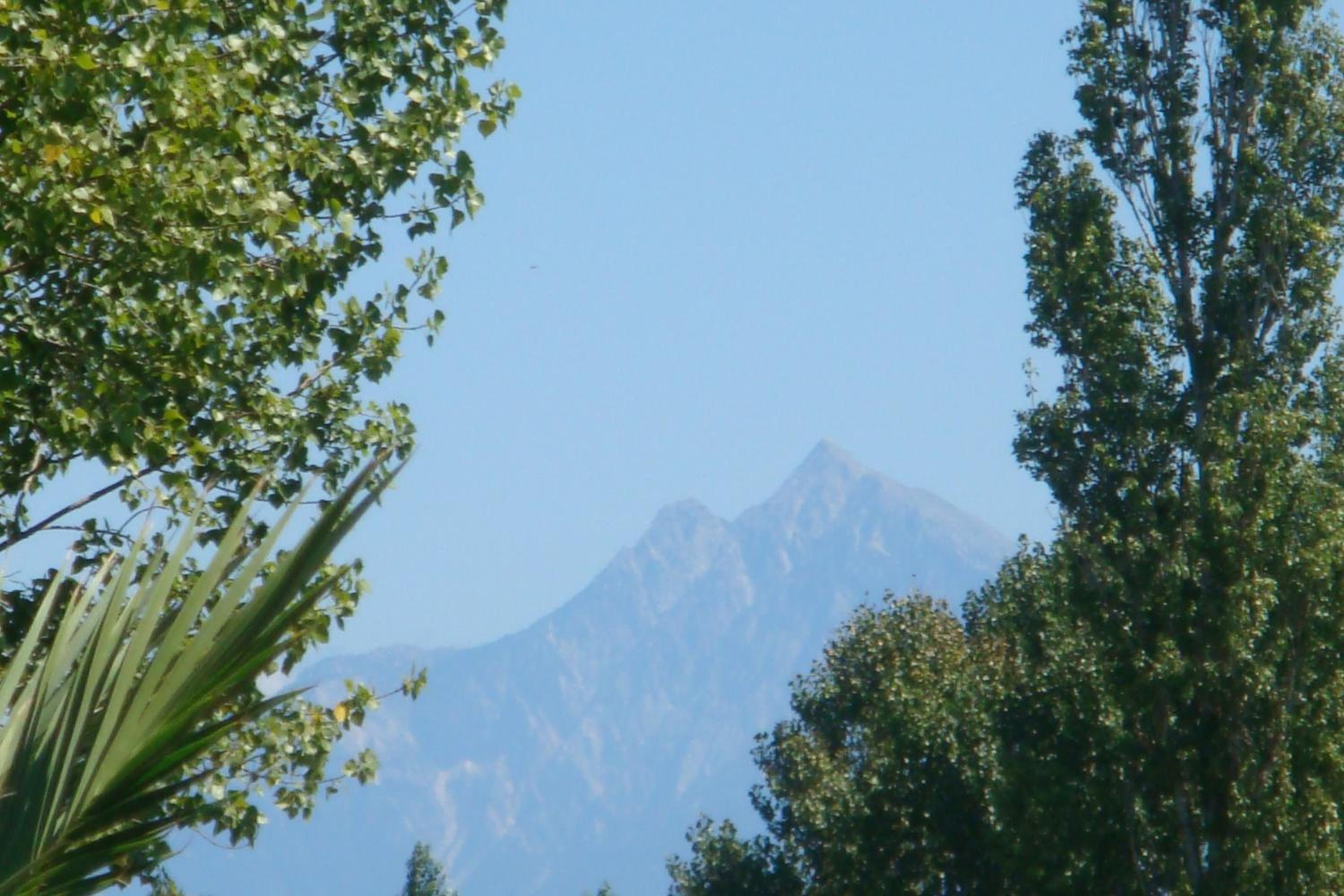 Photo 50