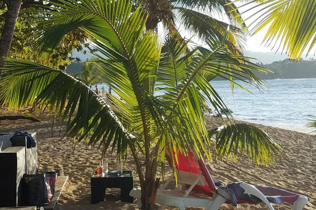 Luxury Plaza Colonial Apartment with Superior Location next to Town & Beaches