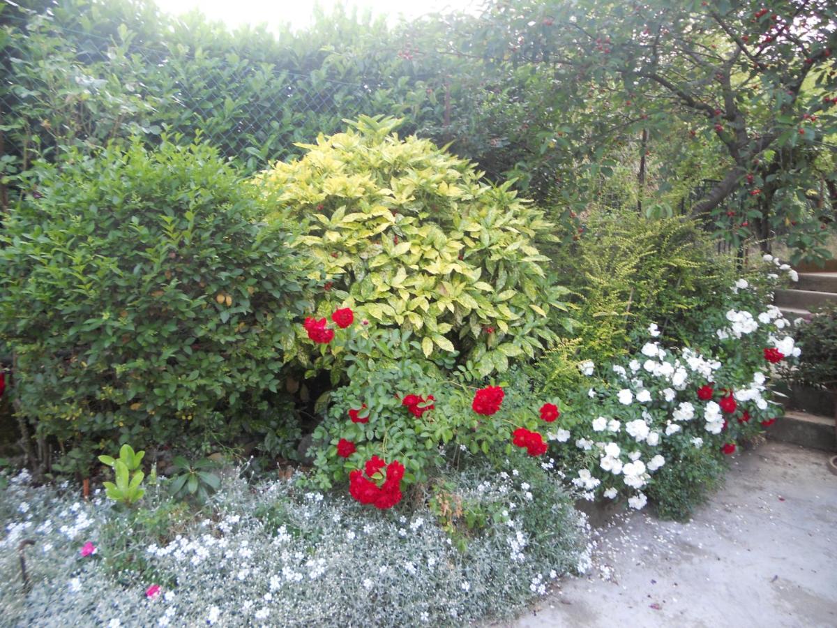 Photo 32