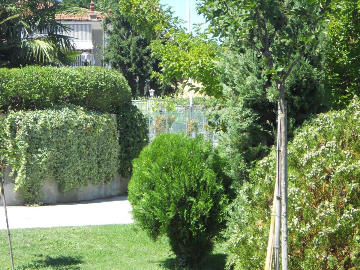 Photo 34