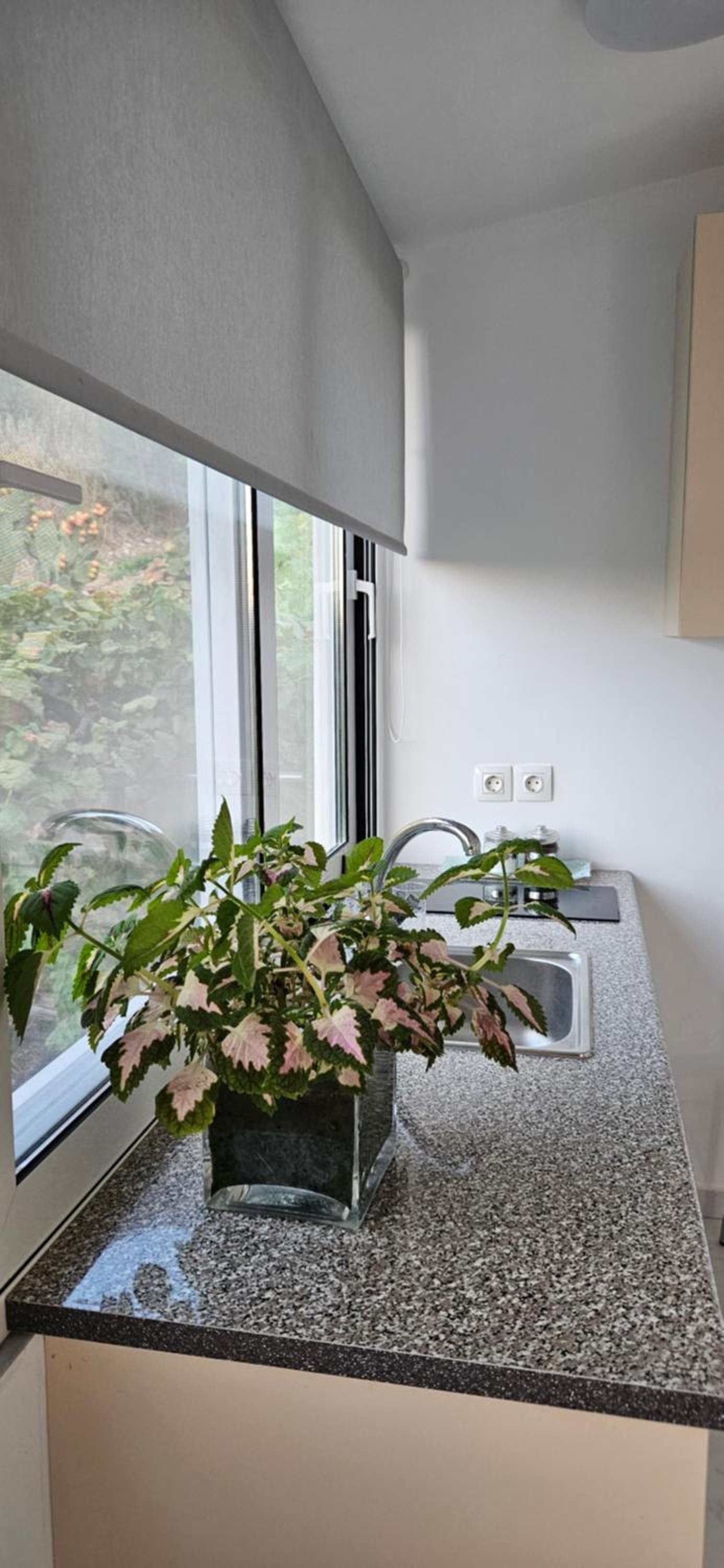 Klejdi's house photo 2