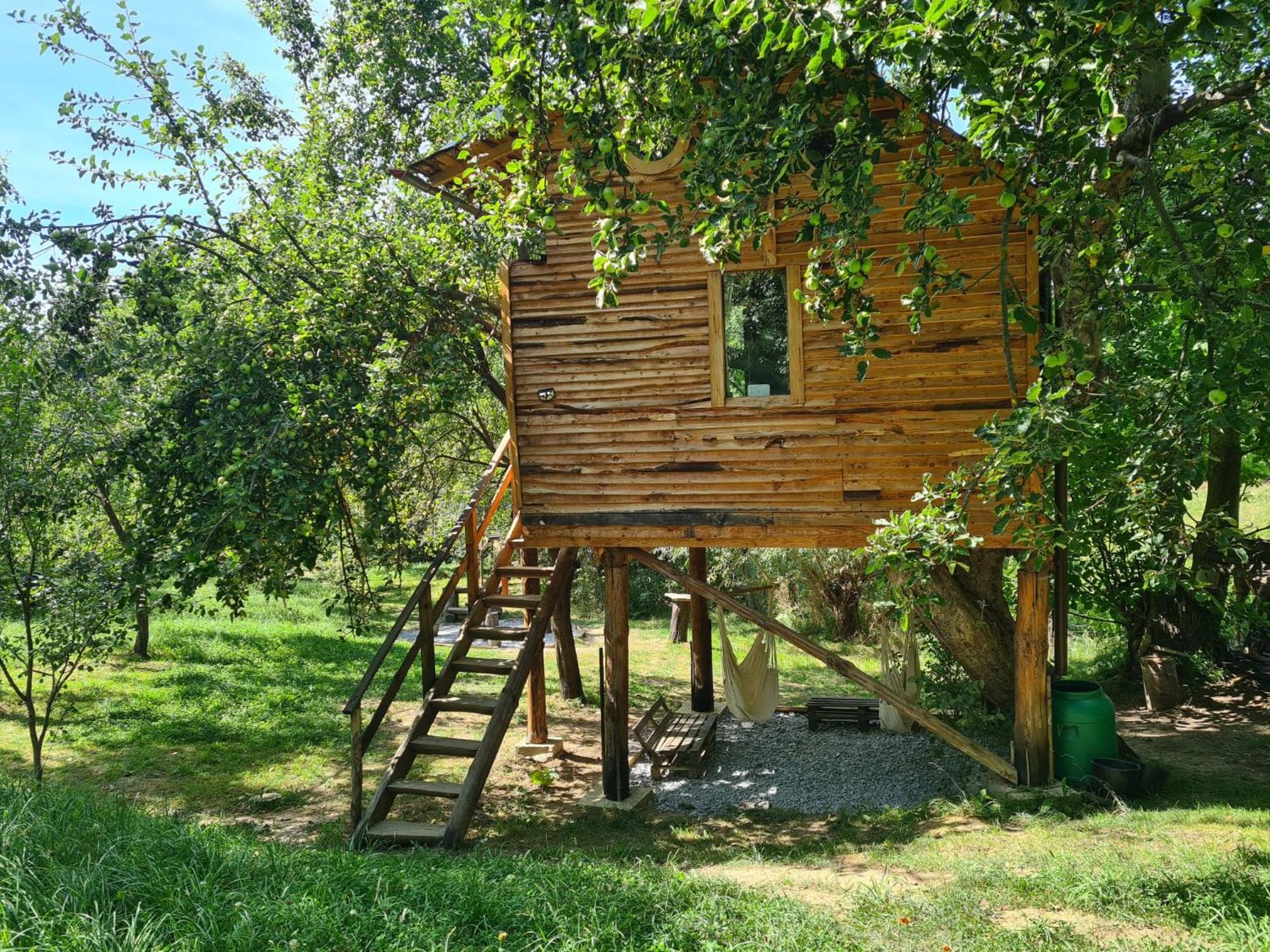 Apple Tree Cabin (Friendship Land) view 2
