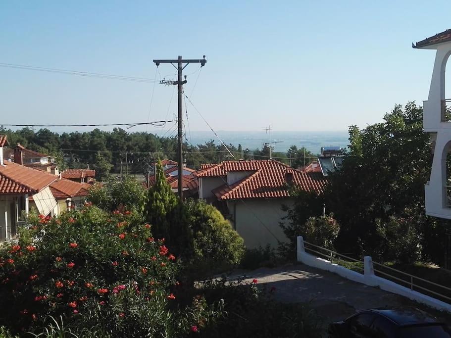 Olympus dream apartment photo 4