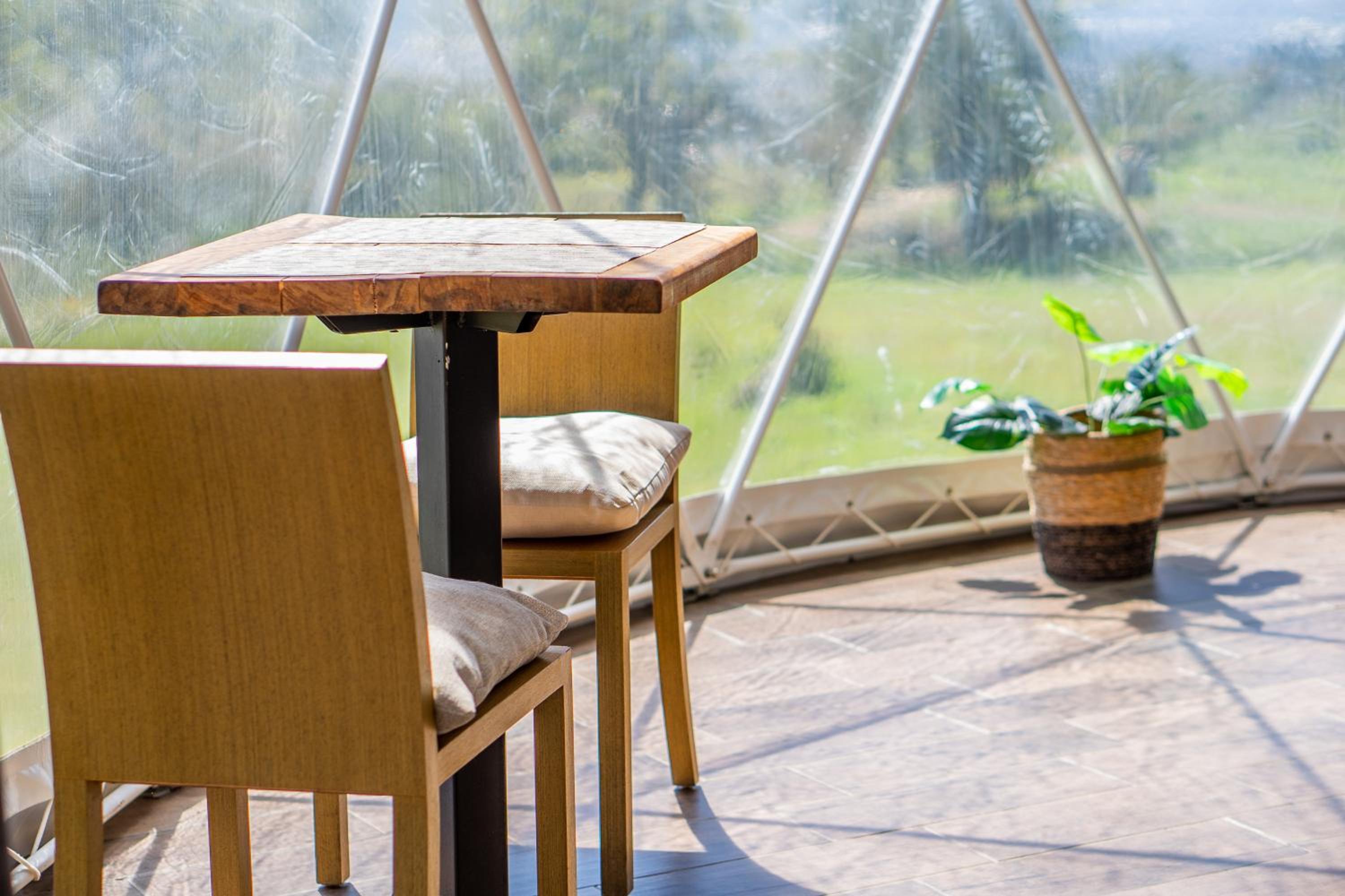 Tocuma Glamping