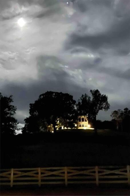 Photo 41