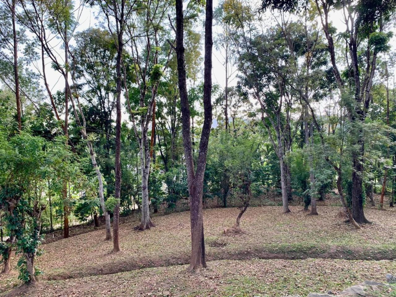 Dunwatta House