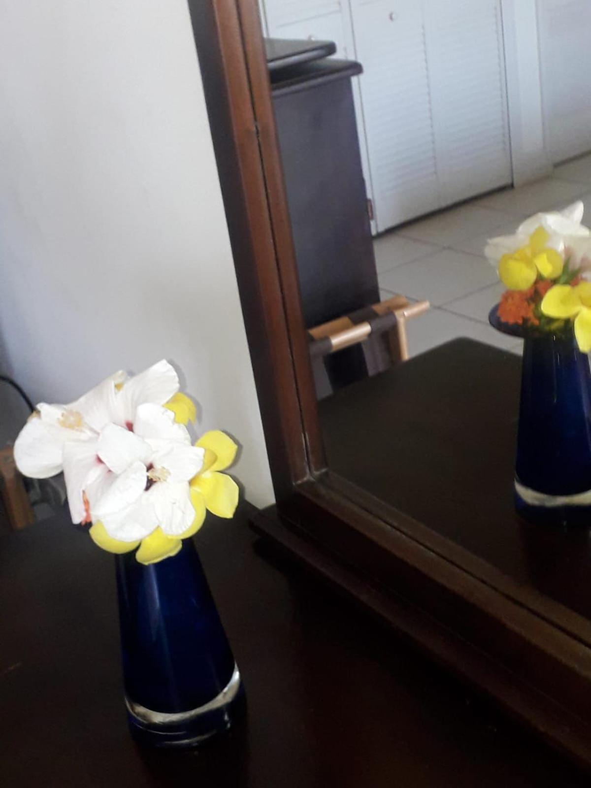 Caribbliss Suites