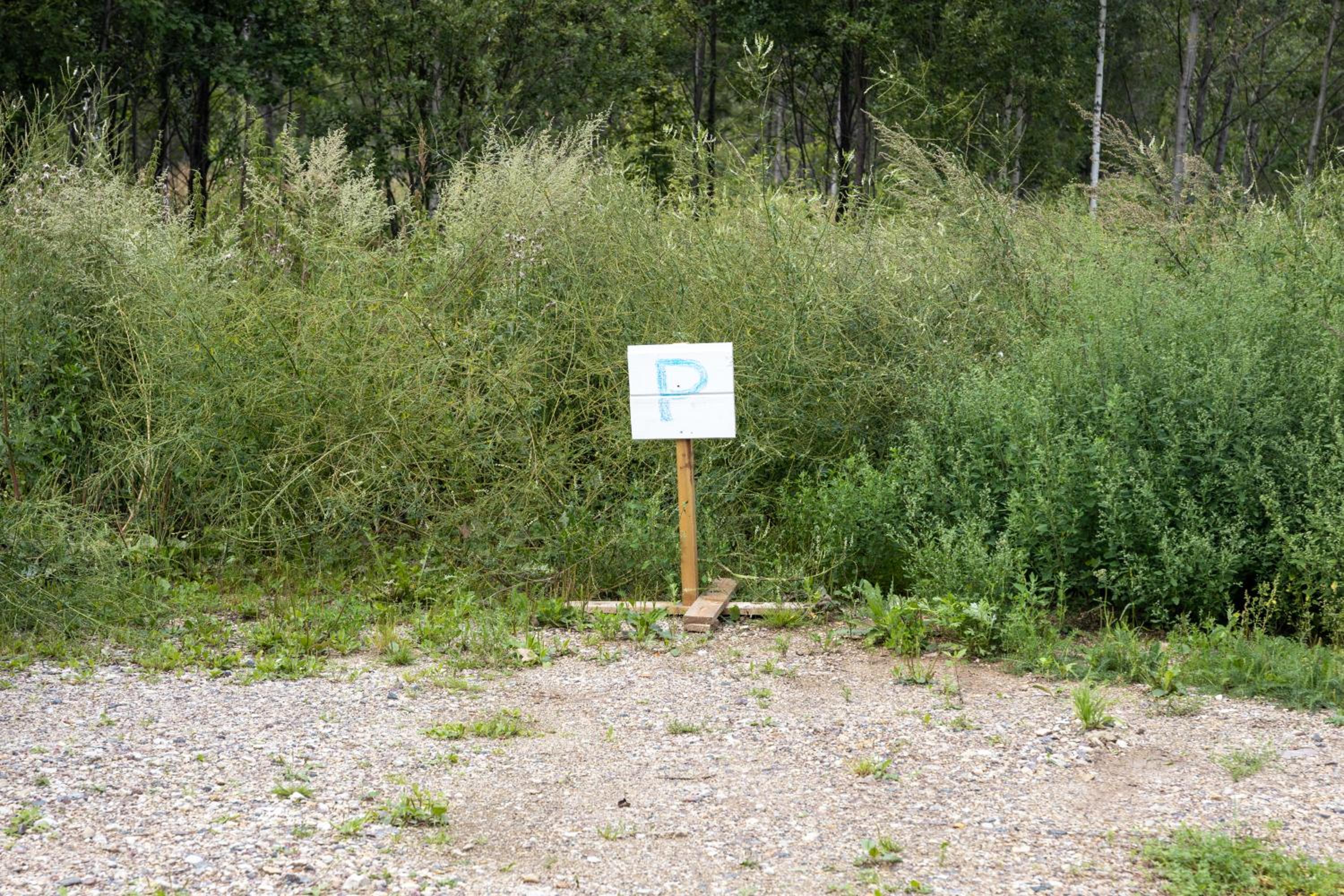 Väike maja metsa sees