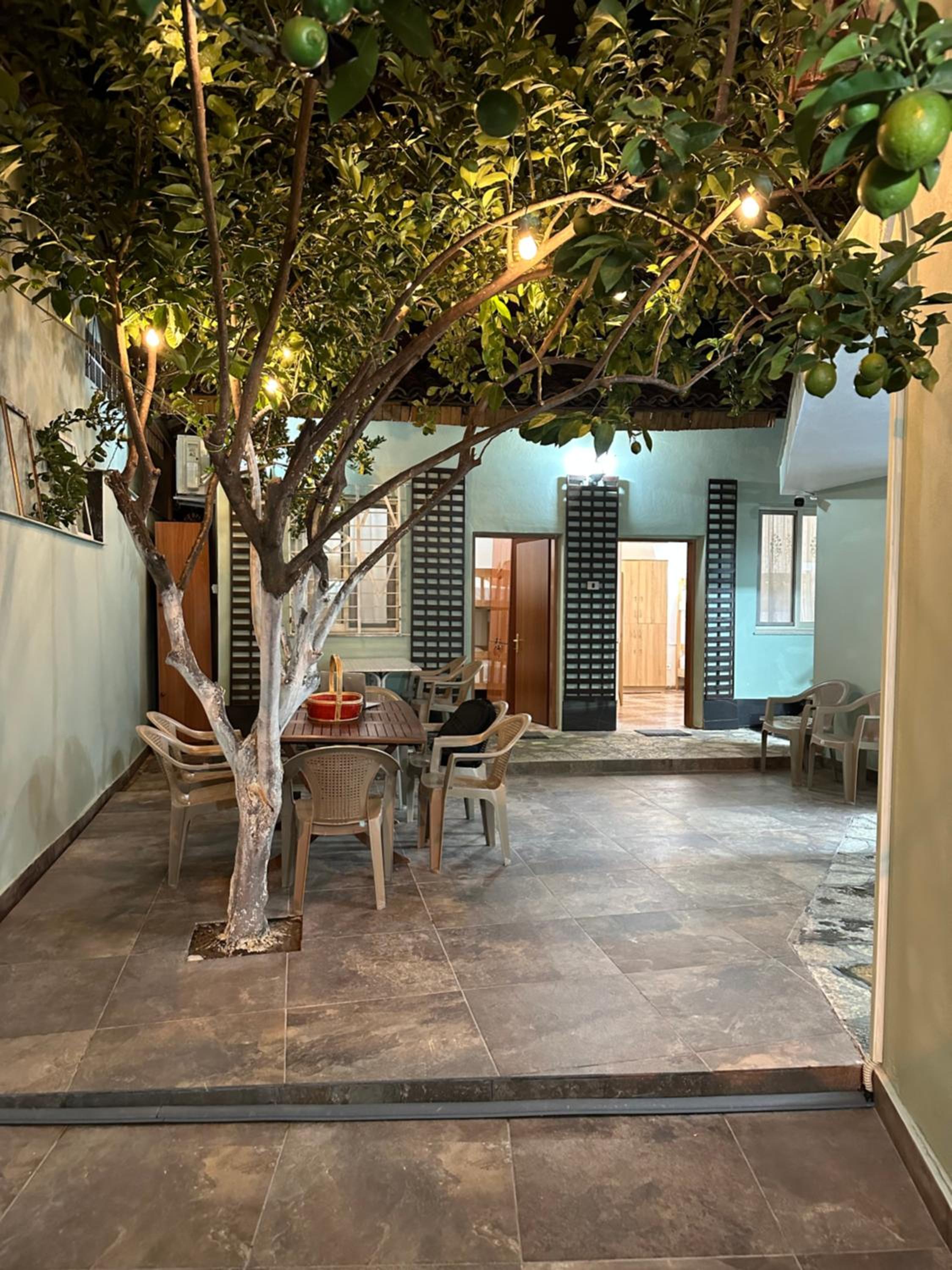 Tirana Lemon Breeze Hostel