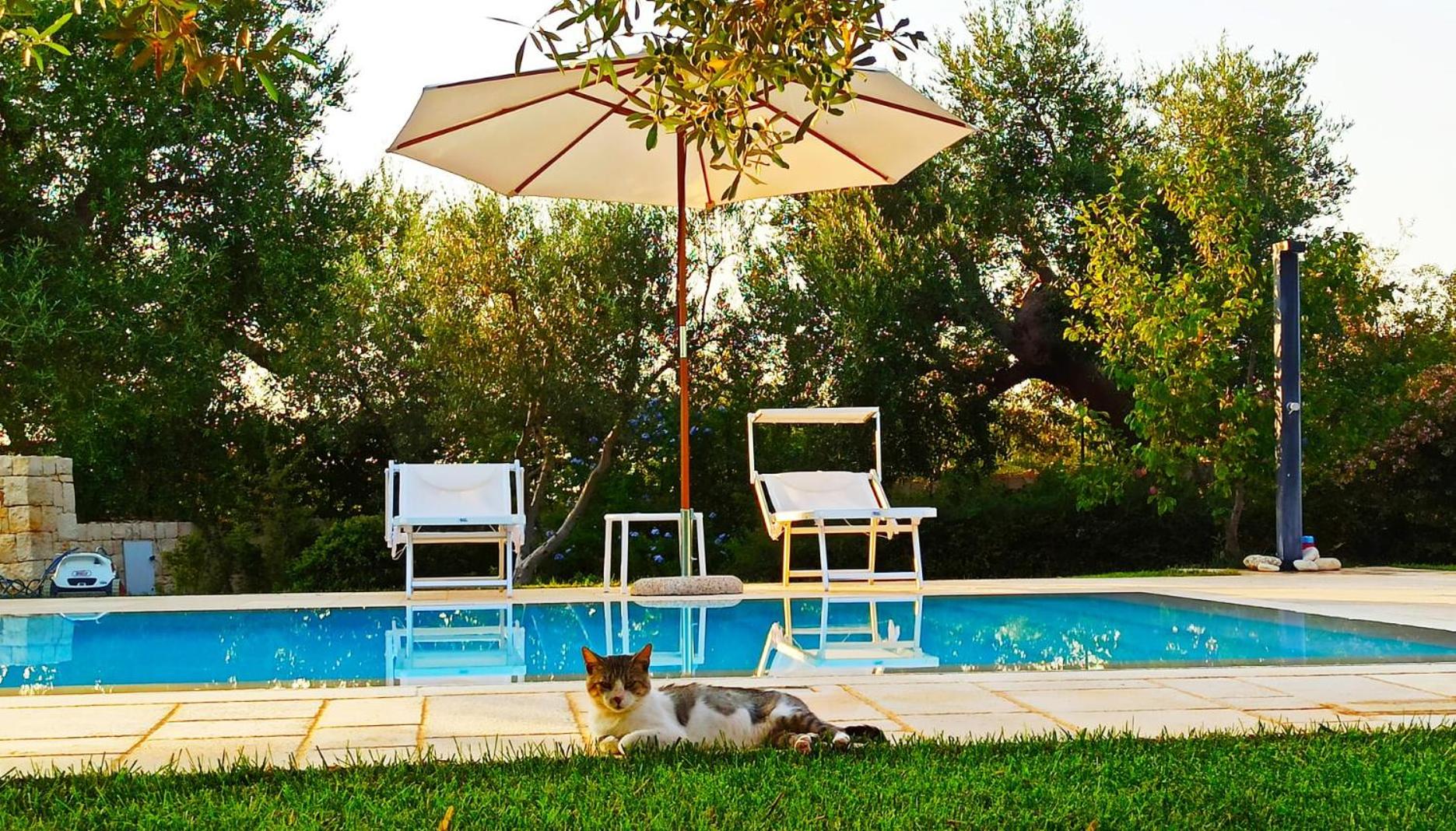 Dimora&Pool Gerardo photo 4