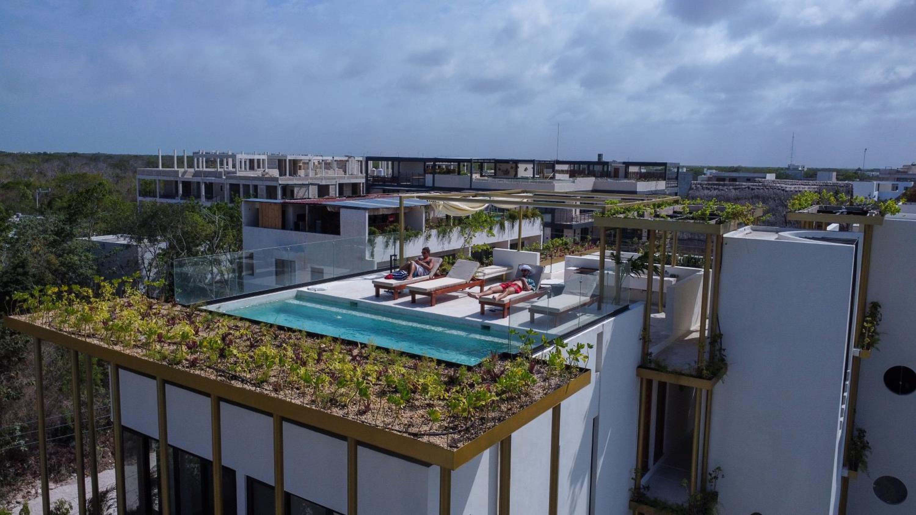 roof