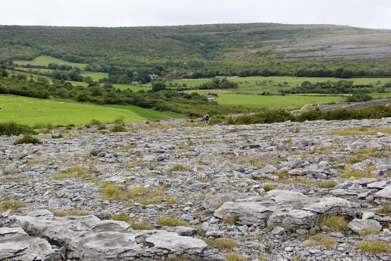 Clare View