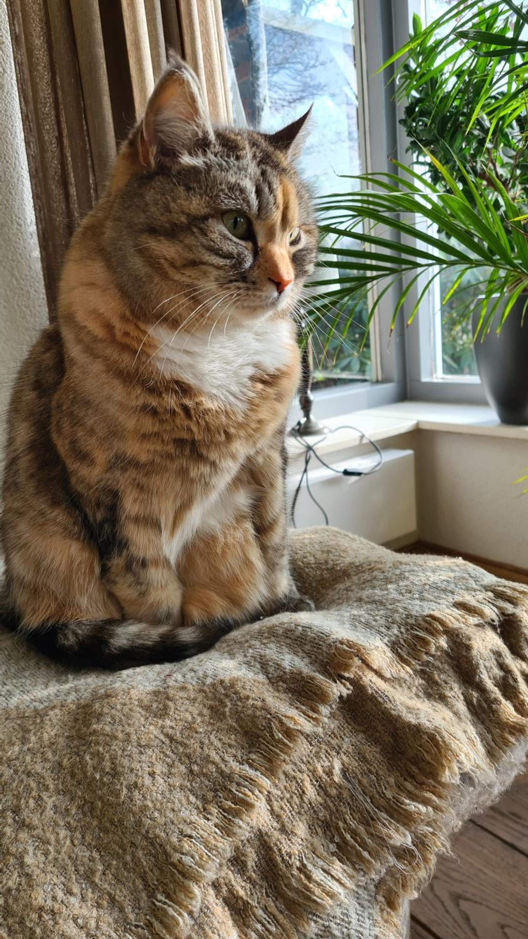 human