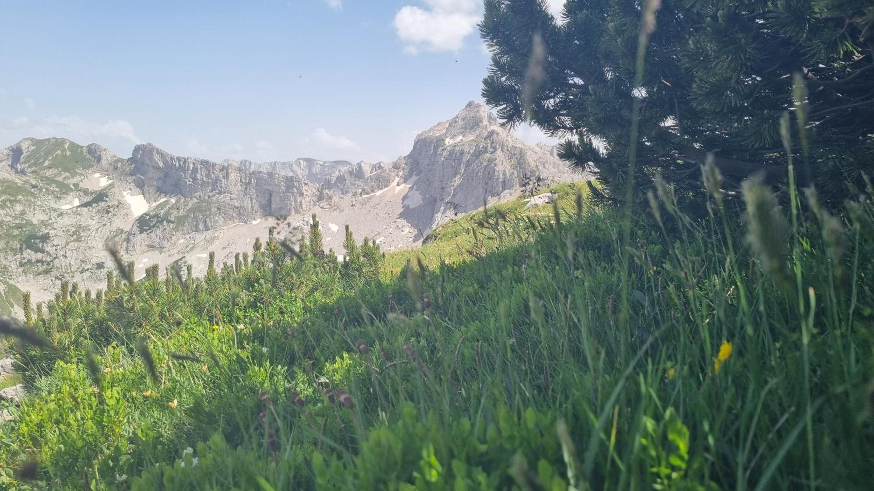 Durmitor Glamp