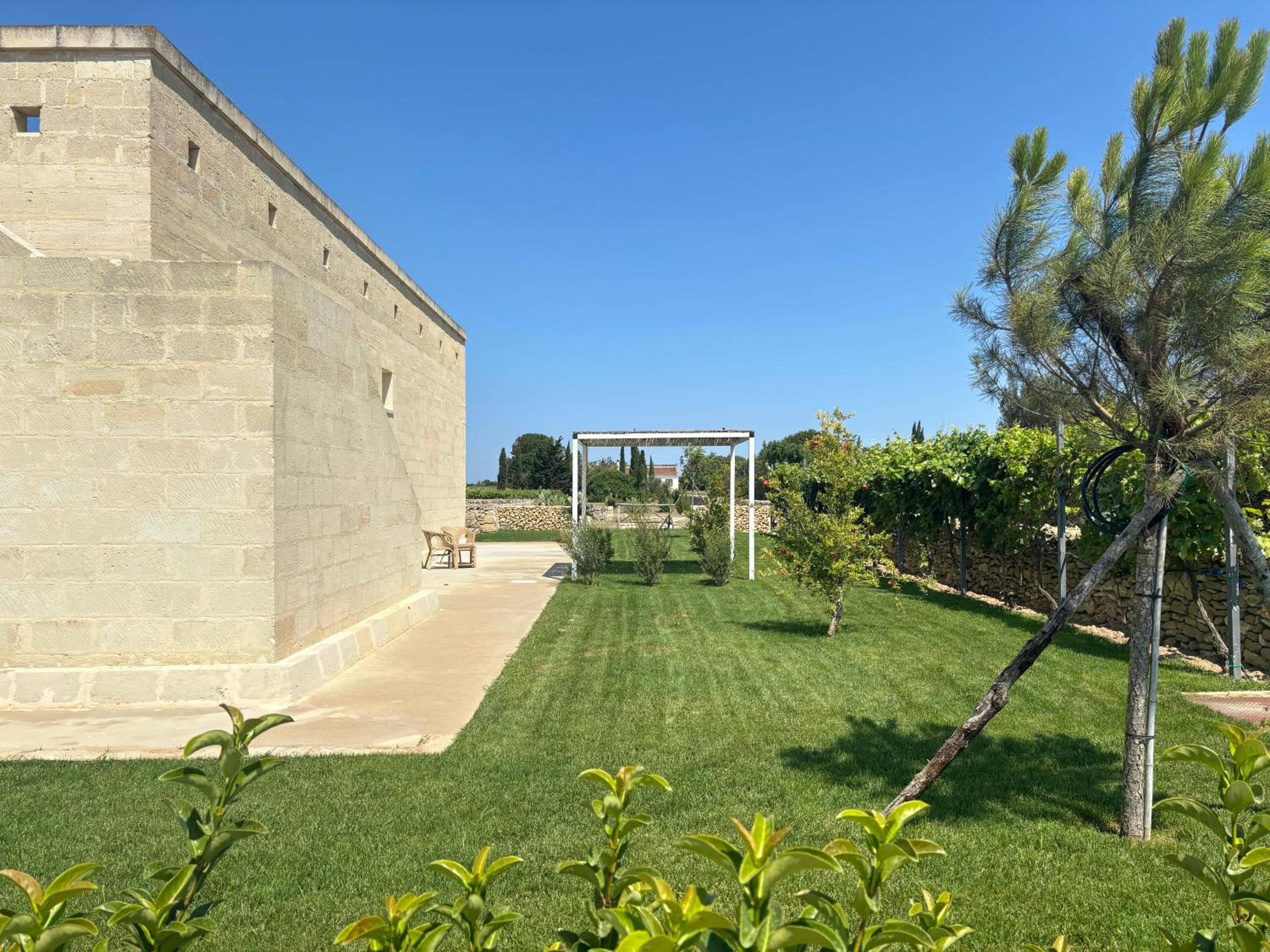 Agricola Bellisario