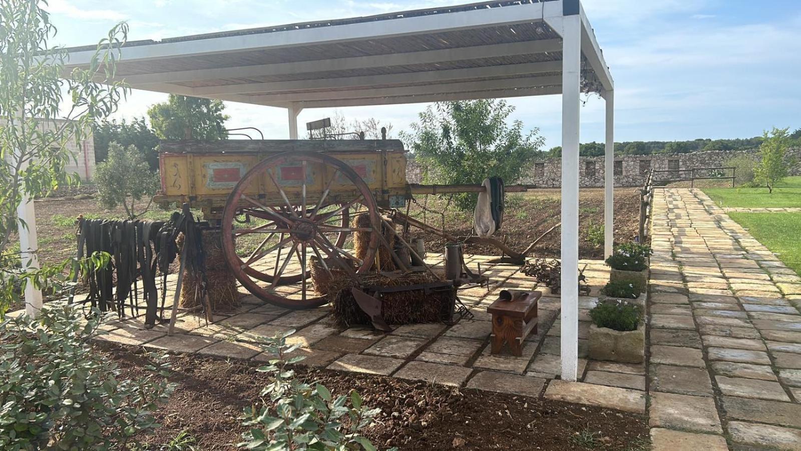 Agricola Bellisario