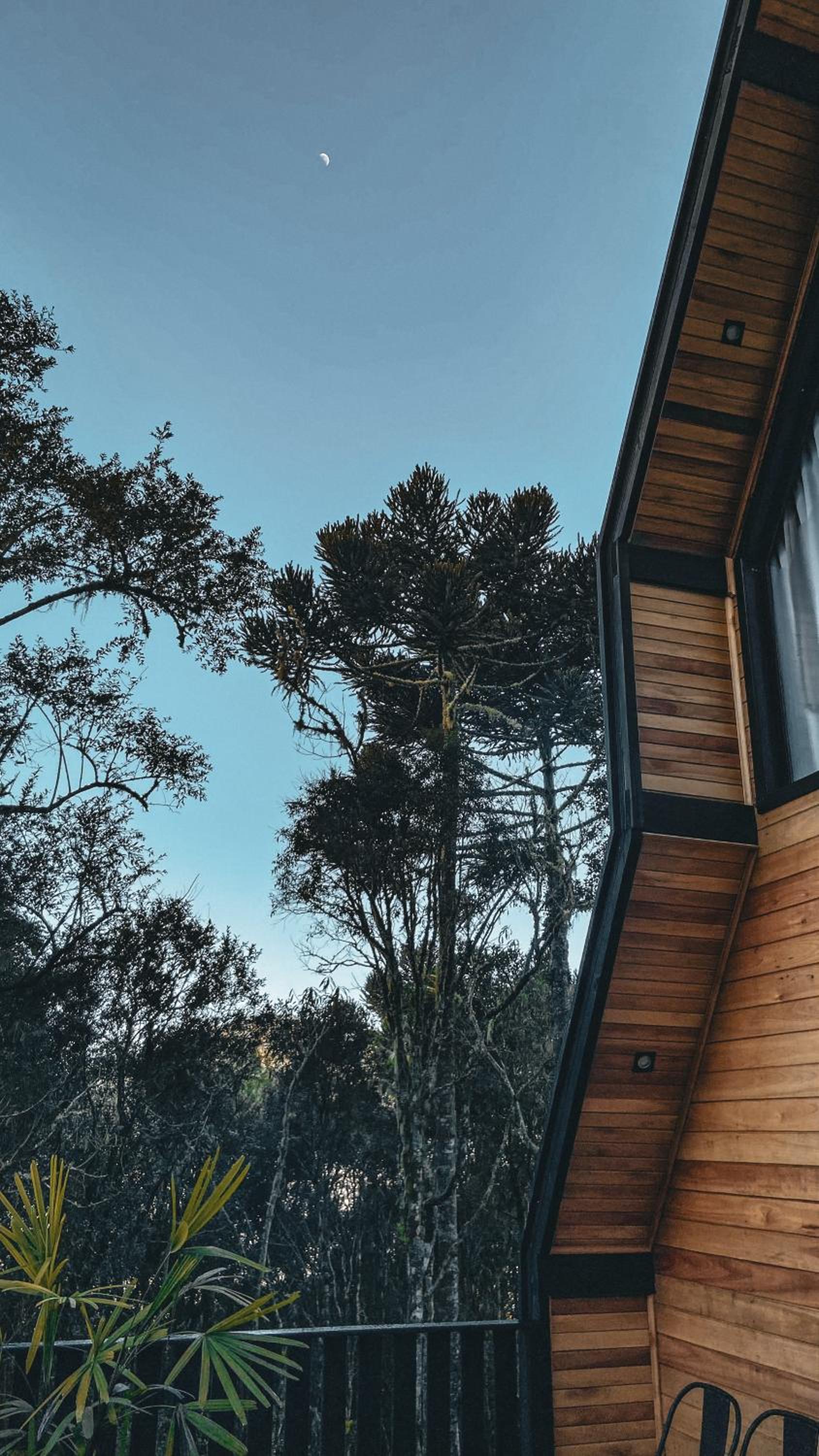 Cabana The Wild Urubici