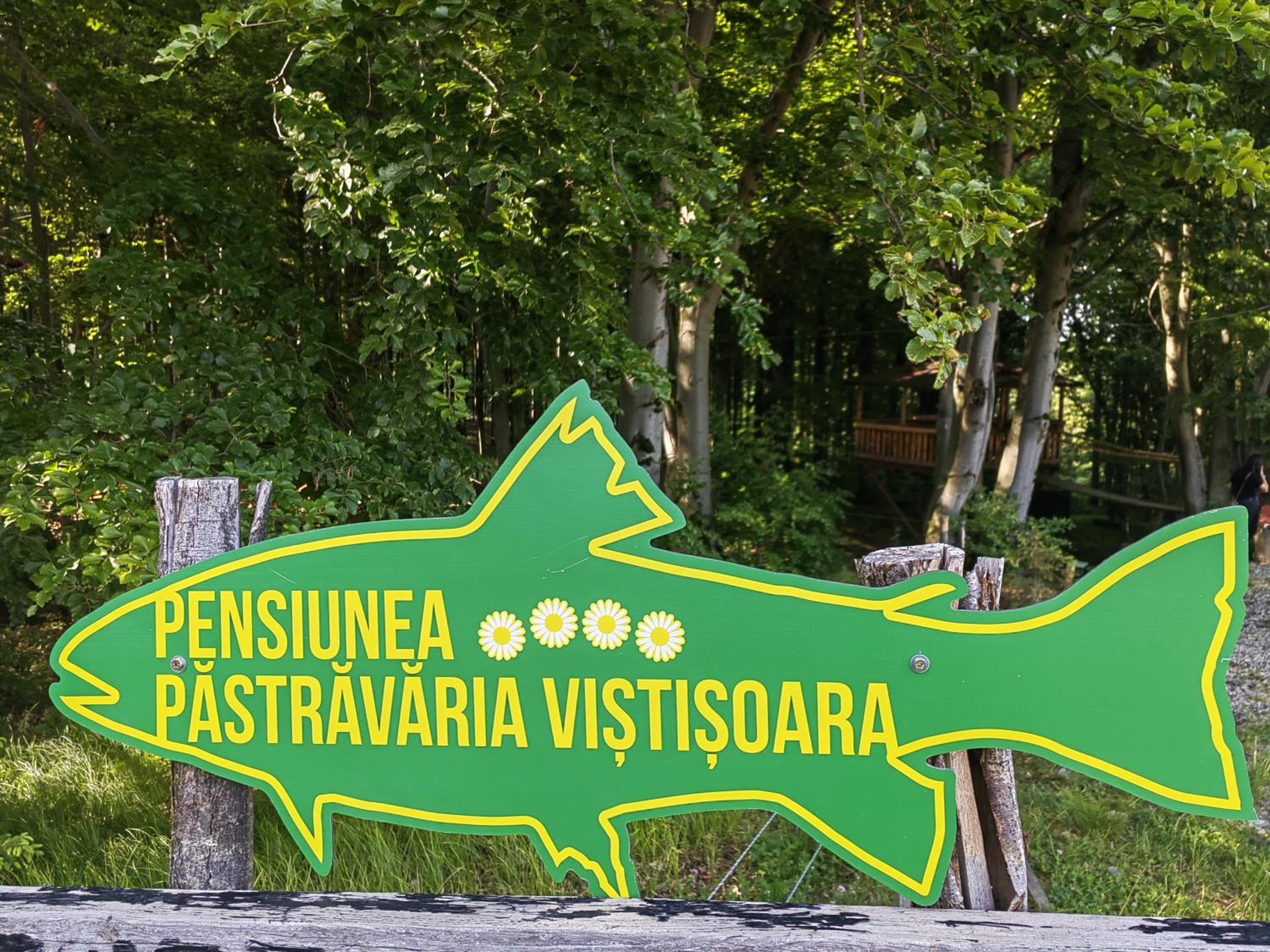 Pensiunea Pastravaria Vistisoara