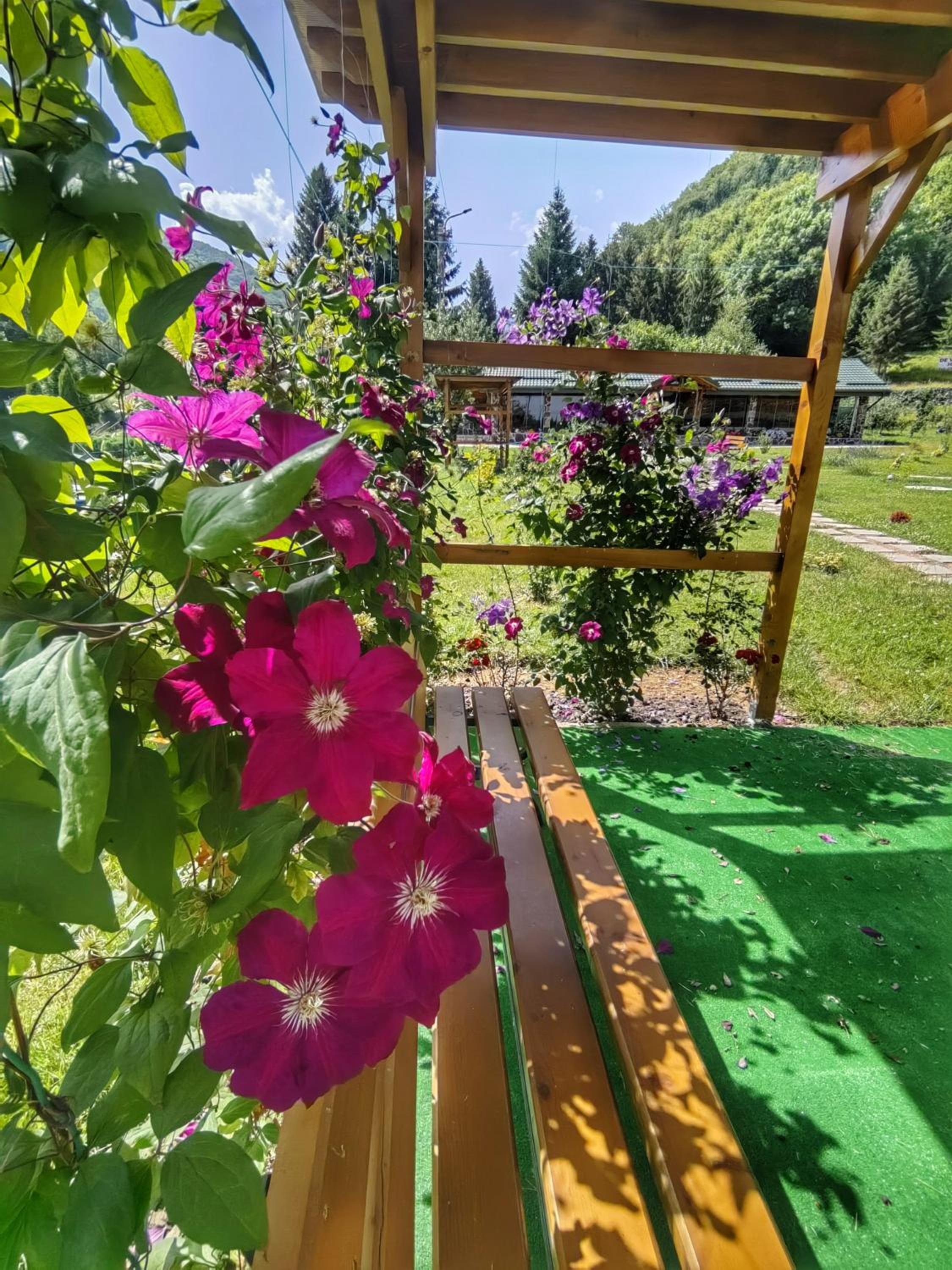 Pensiunea Pastravaria Vistisoara