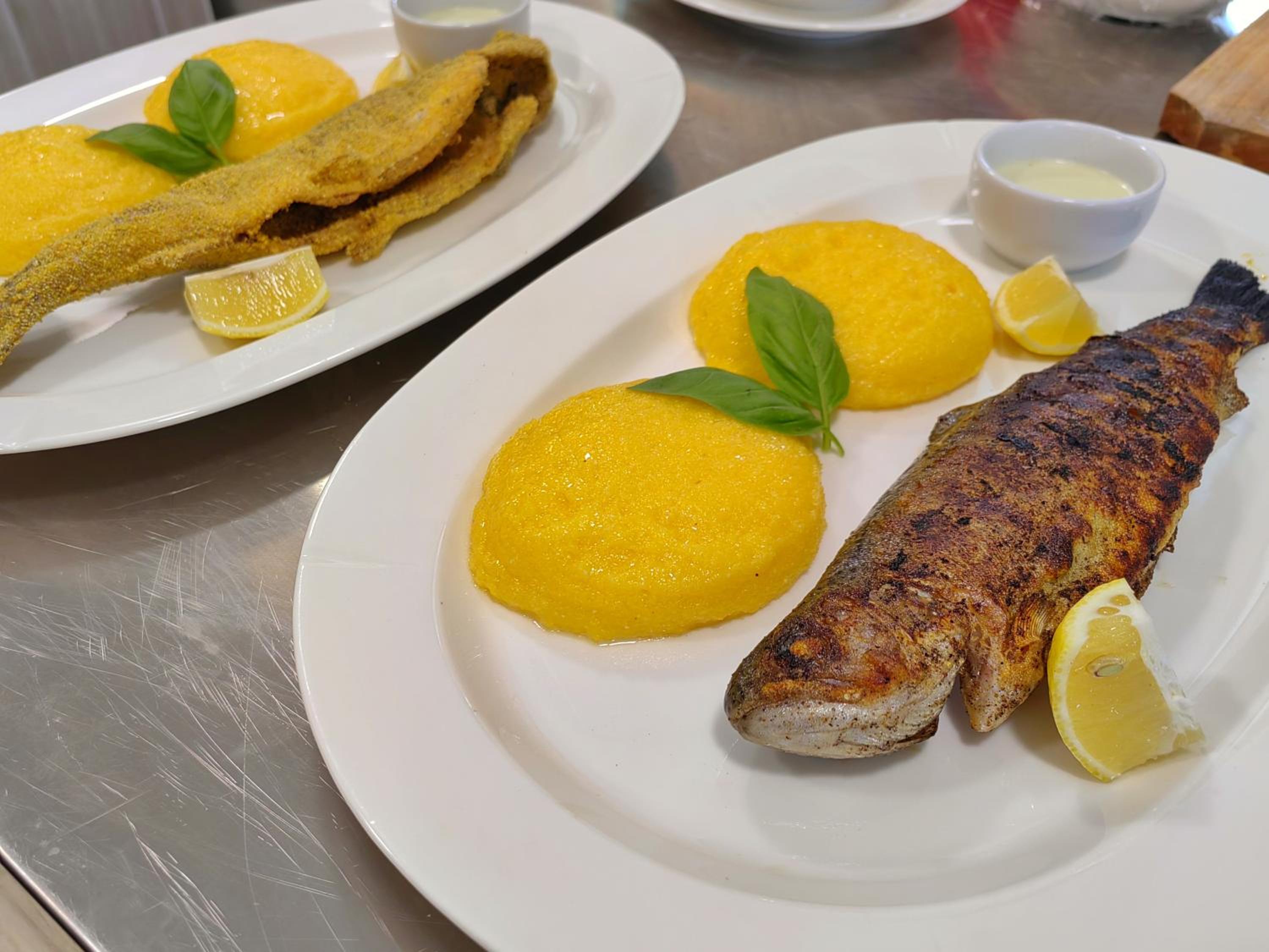 Pensiunea Pastravaria Vistisoara