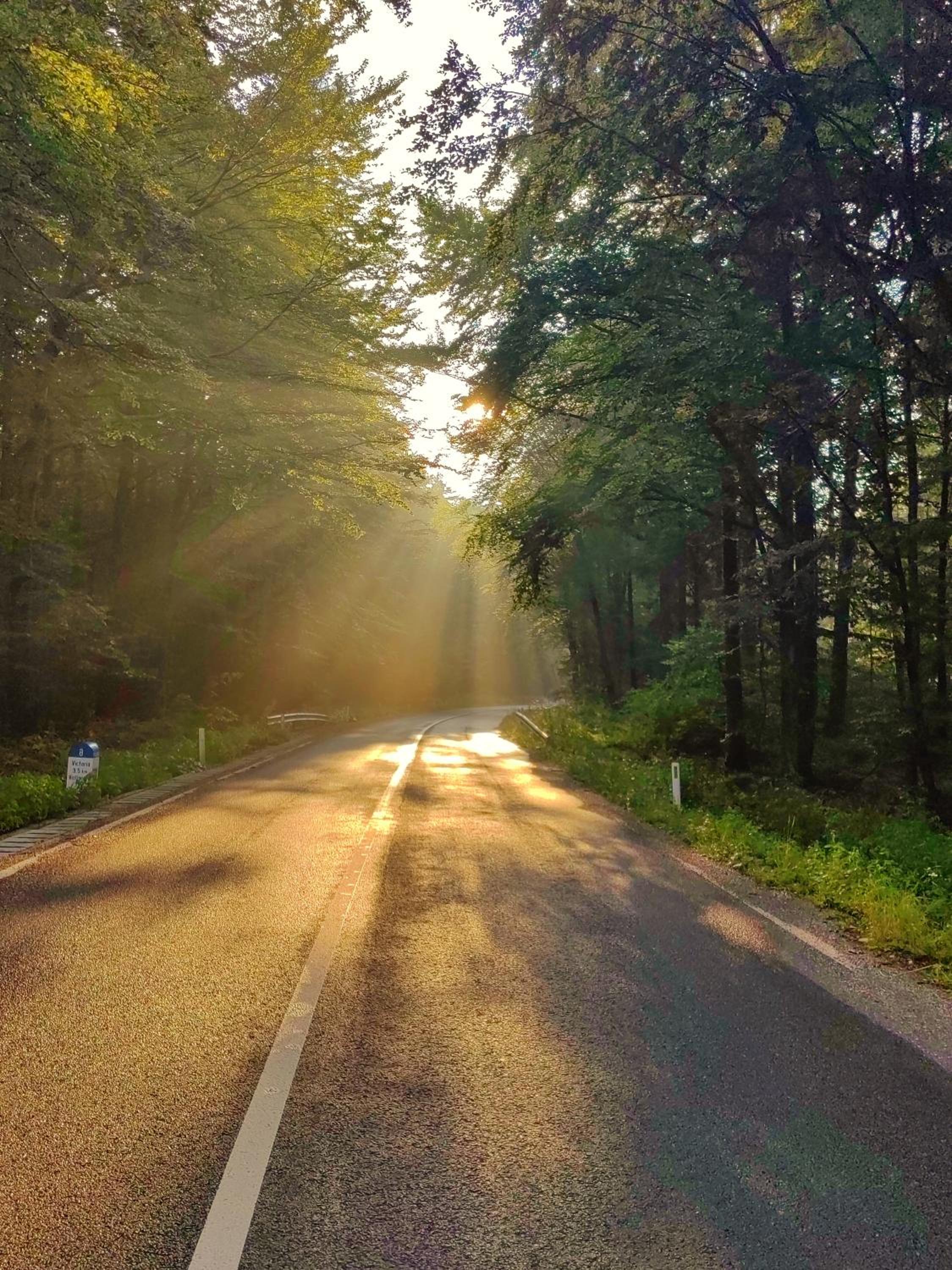 Pensiunea Pastravaria Vistisoara