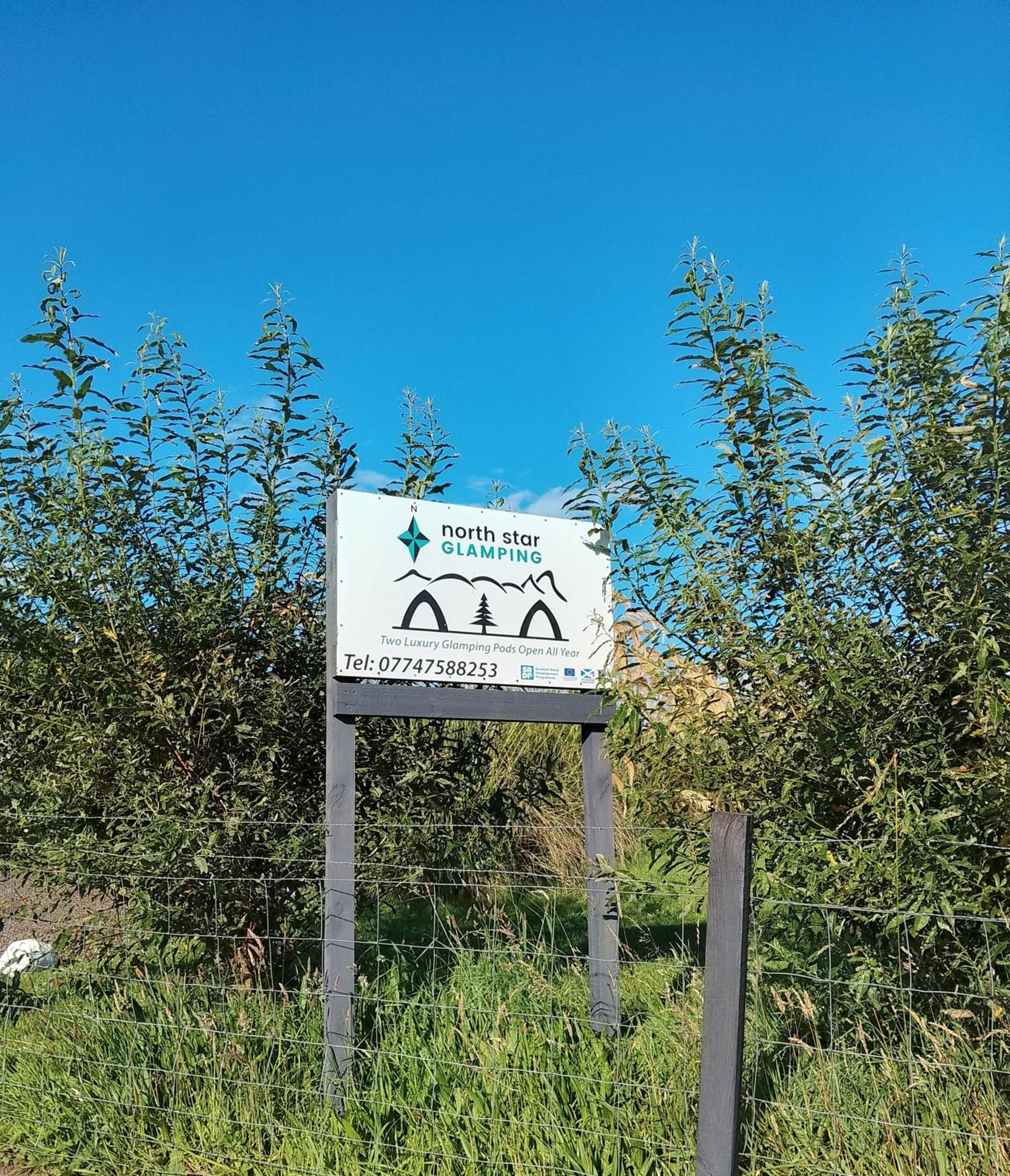 Photo 49